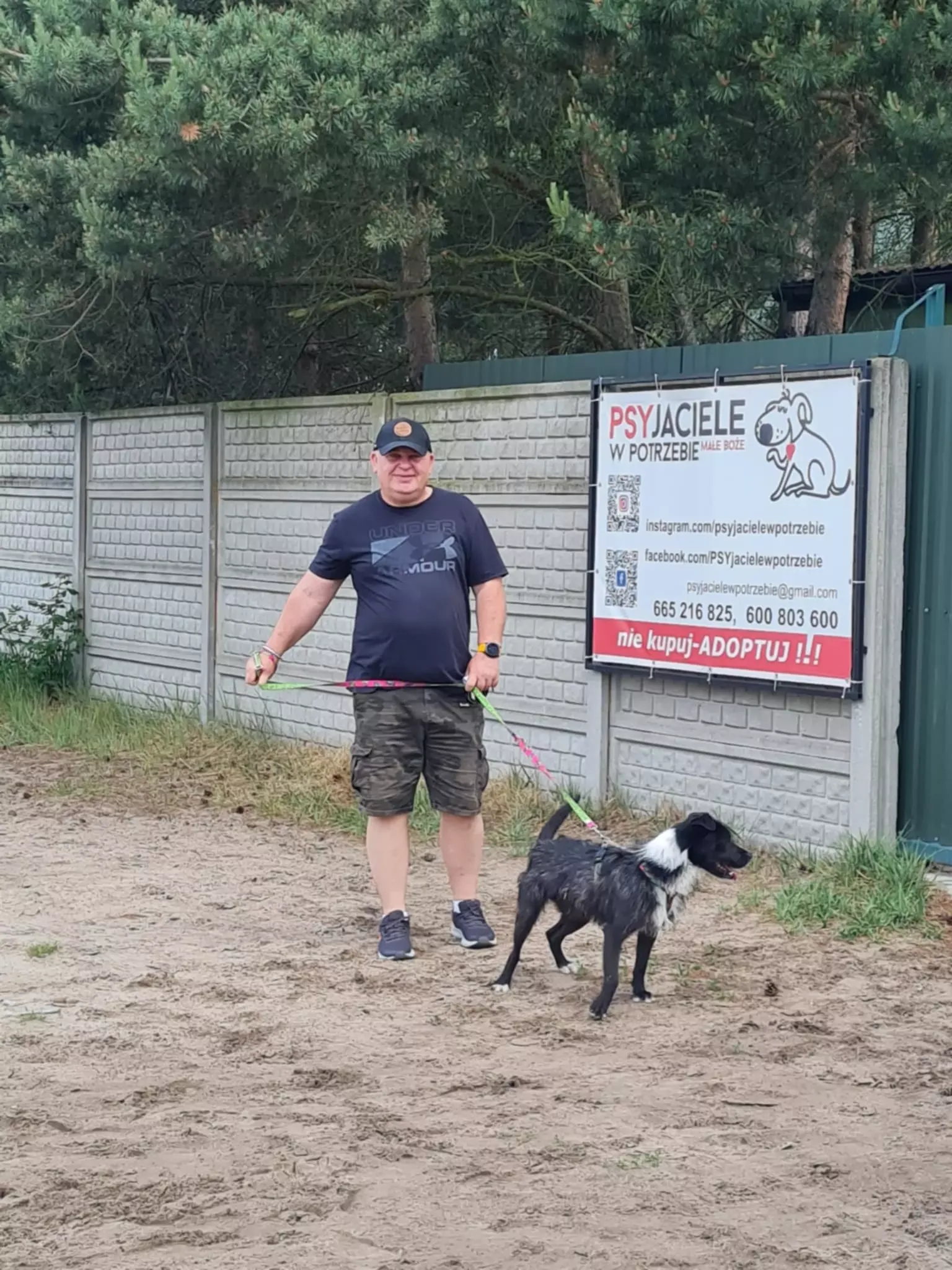 Wolontariat w schronisku