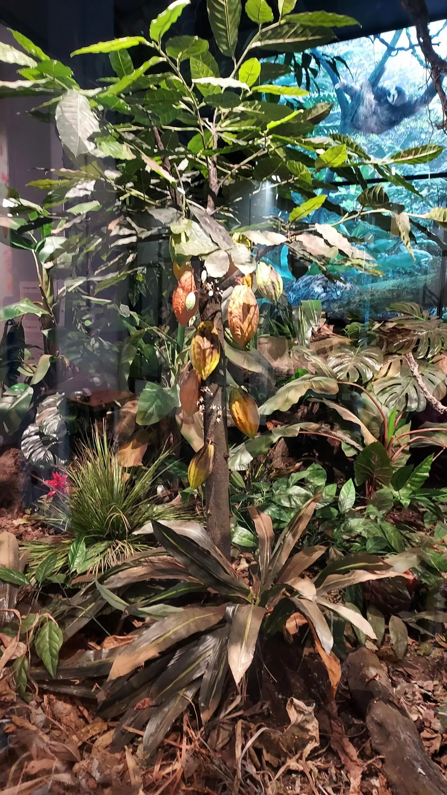 uczniowie zwiedzają Fabrykę Czekolady