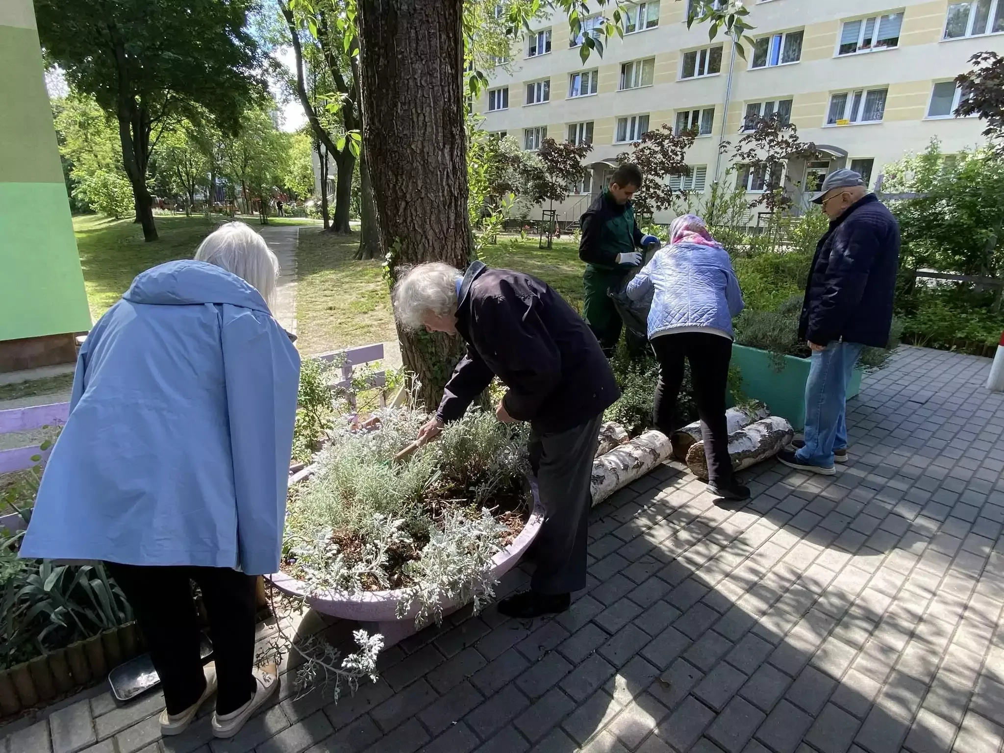 Uczniowie pomagają seniorom