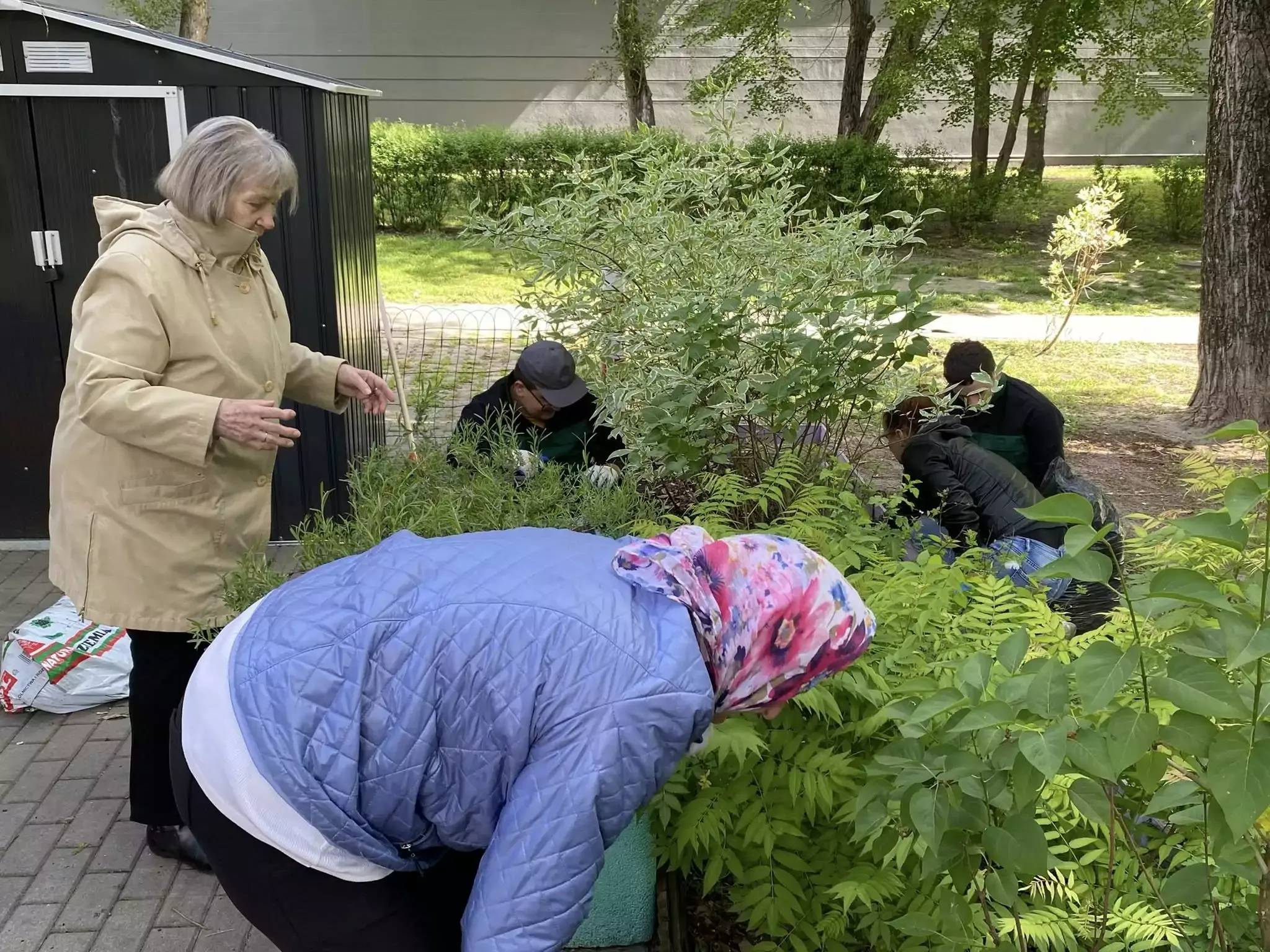 Uczniowie pomagają seniorom