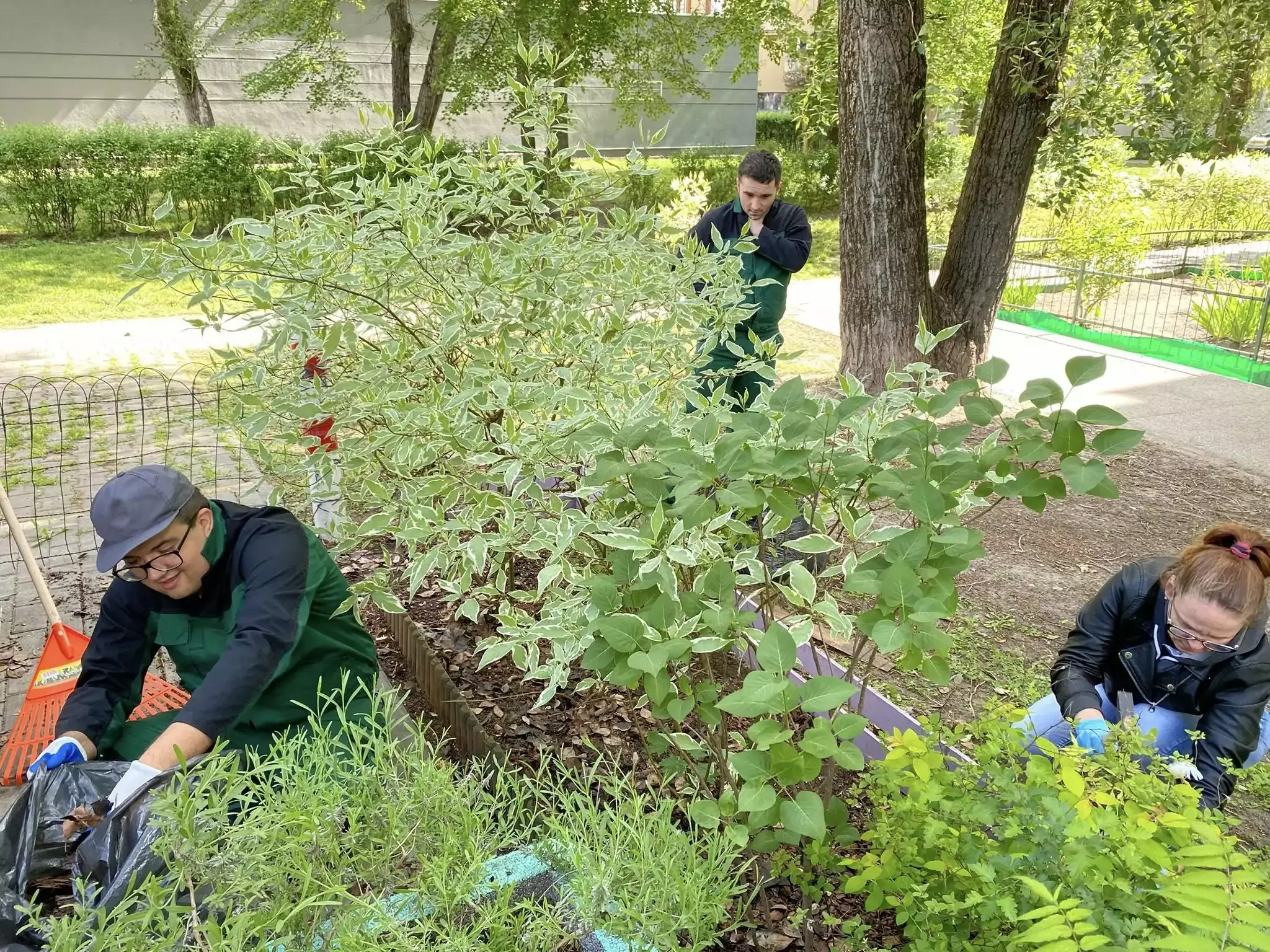 Uczniowie pomagają seniorom