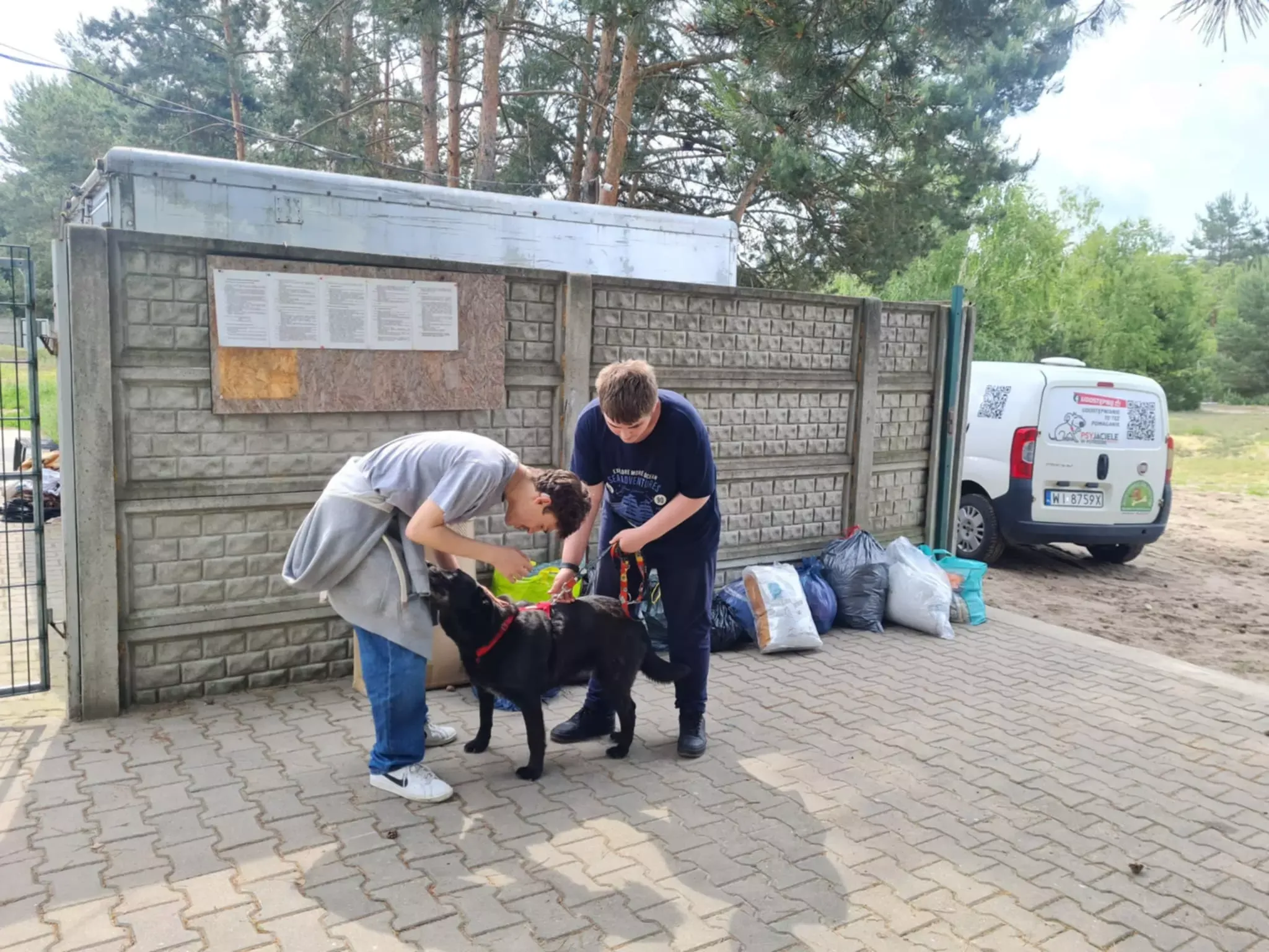 Wolontariat w schronisku