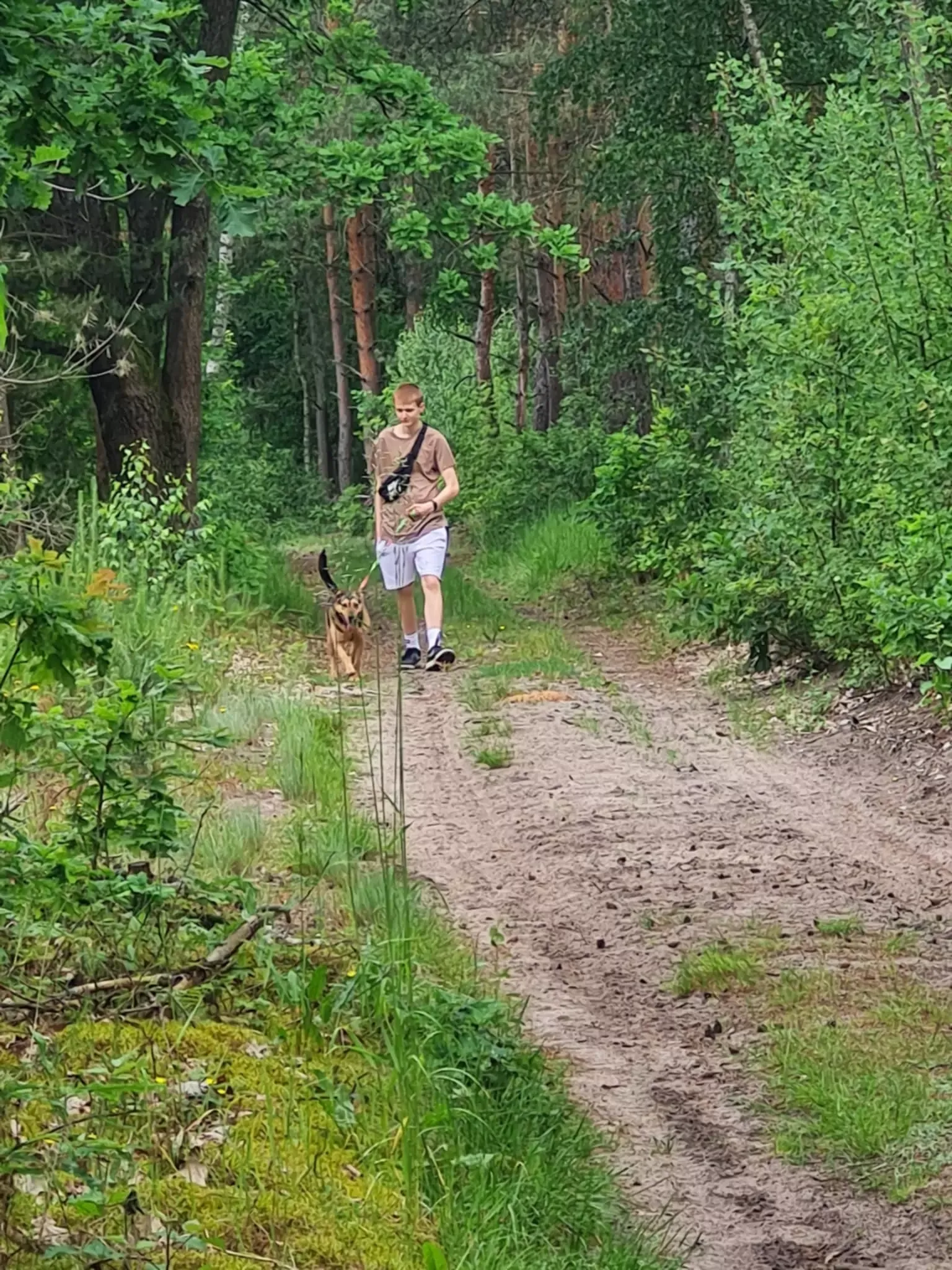 Wolontariat w schronisku