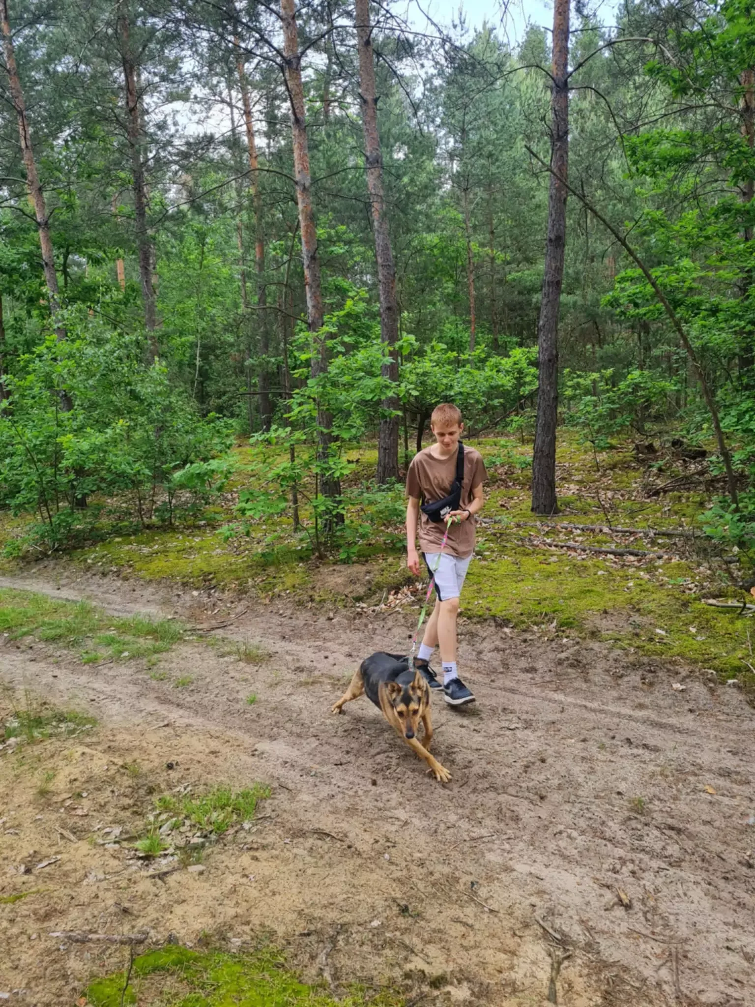 Wolontariat w schronisku