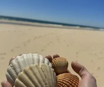 Zagraniczne praktyki 