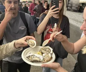 Zagraniczne praktyki