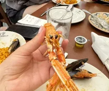 Zagraniczne praktyki