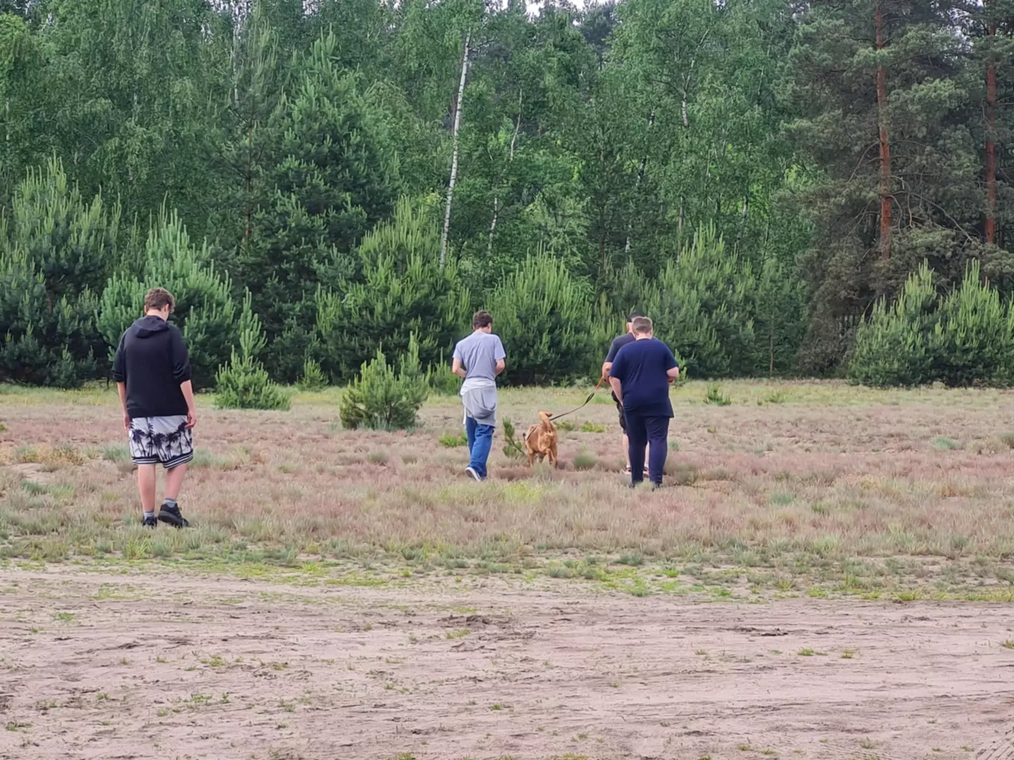 Wolontariat w schronisku