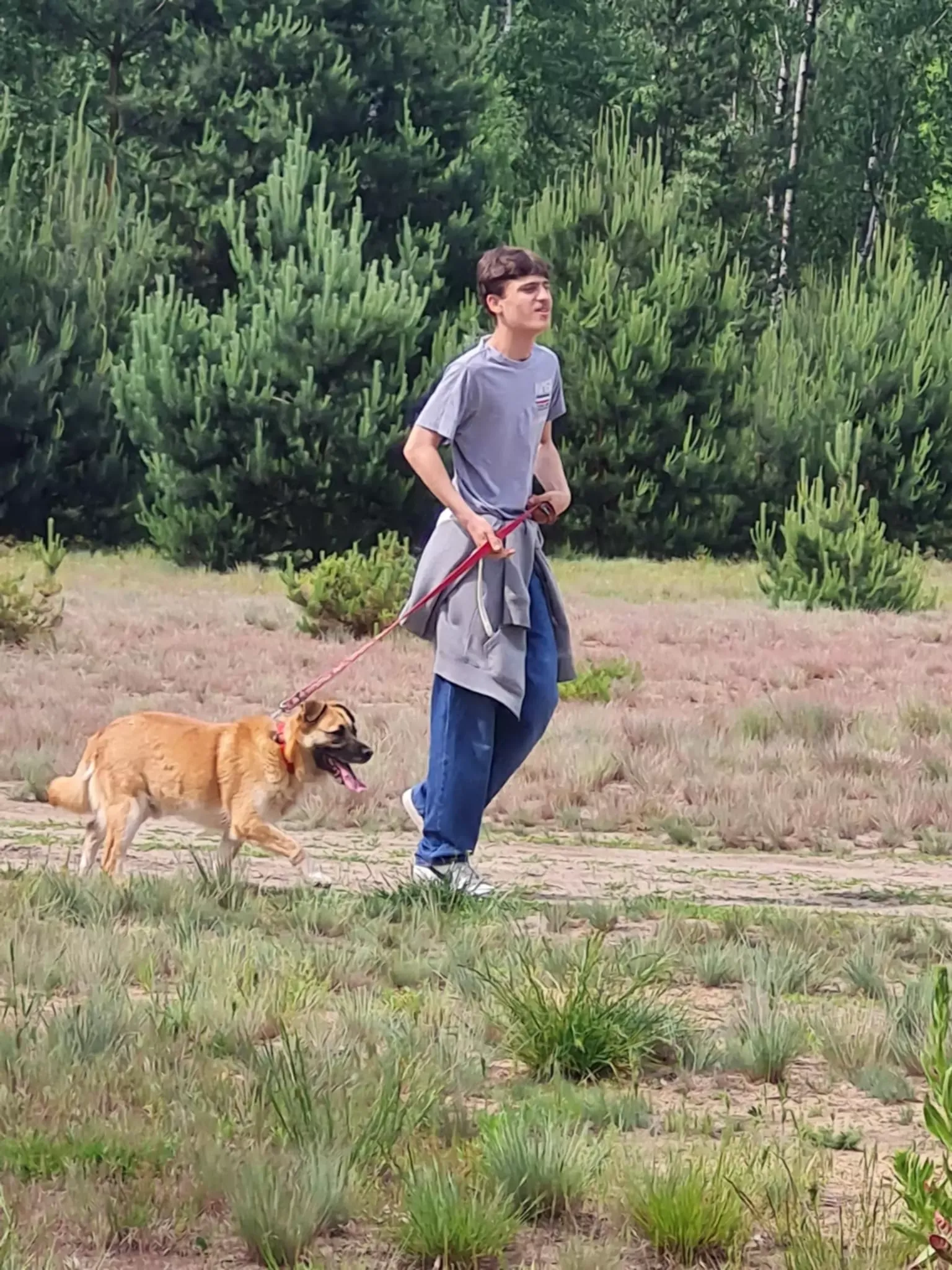 Wolontariat w schronisku