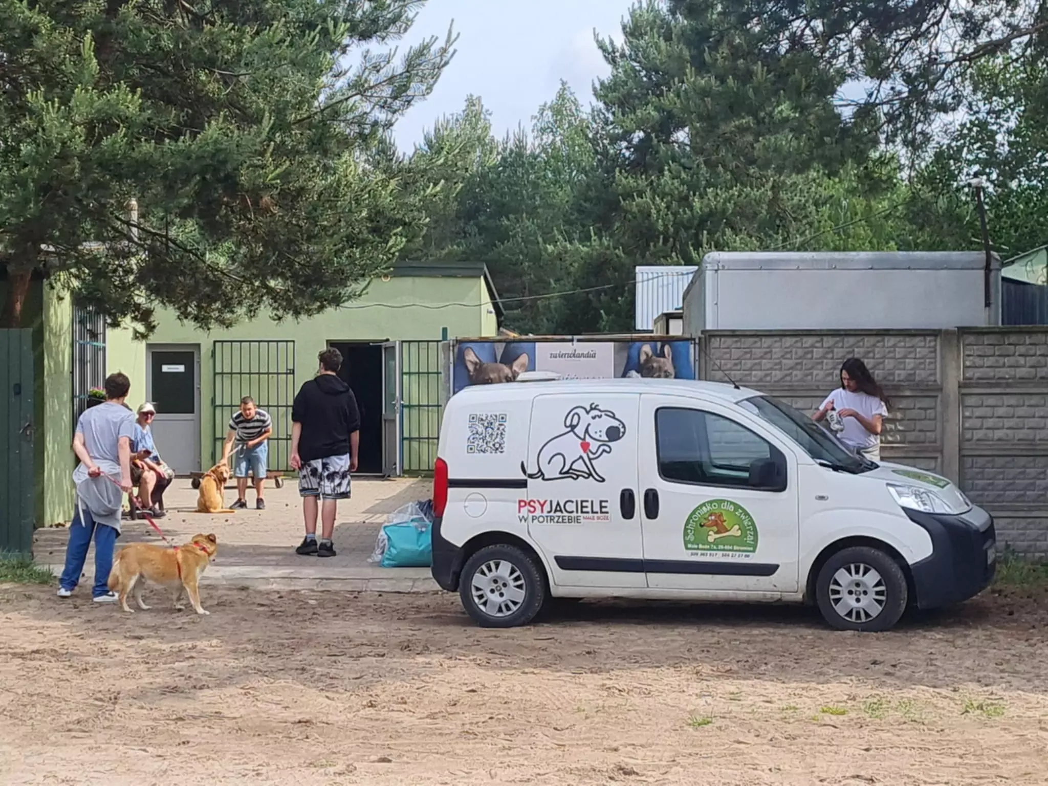 Wolontariat w schronisku