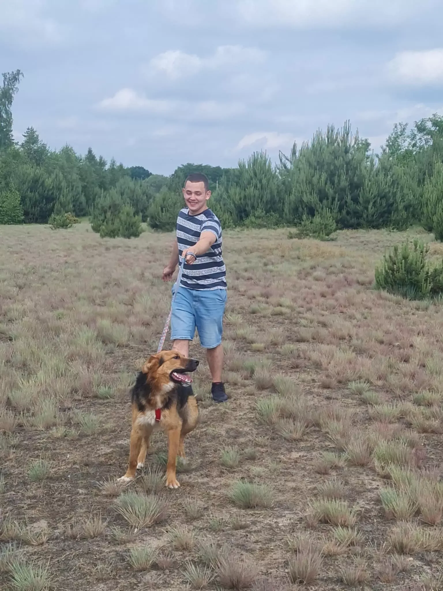 Wolontariat w schronisku