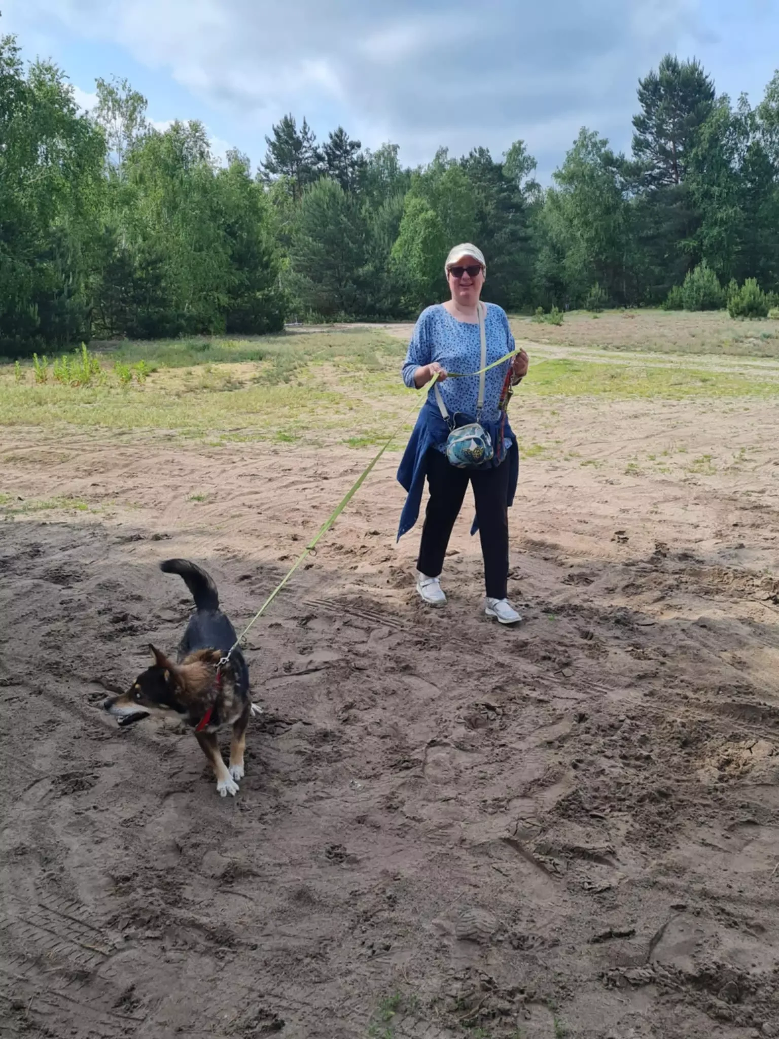 Wolontariat w schronisku