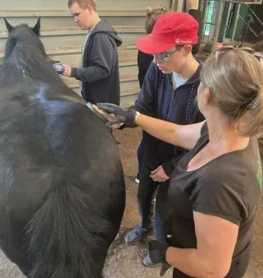 Szkoła Przysposabiająca do Pracy