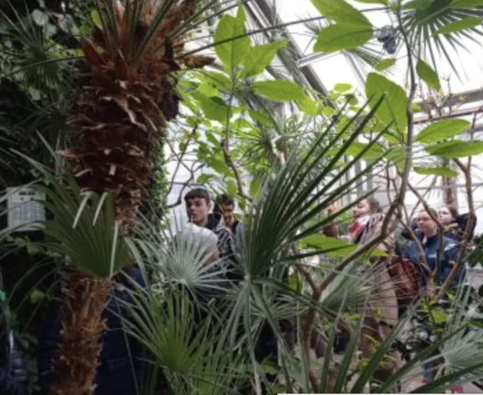 Wehikułem czasu w tropiki – wycieczki dla wyróżnionych uczniów ze szkół ponadpodstawowych