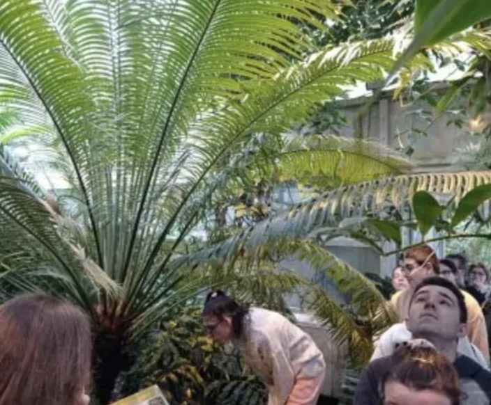 Wehikułem czasu w tropiki – wycieczki dla wyróżnionych uczniów ze szkół ponadpodstawowych