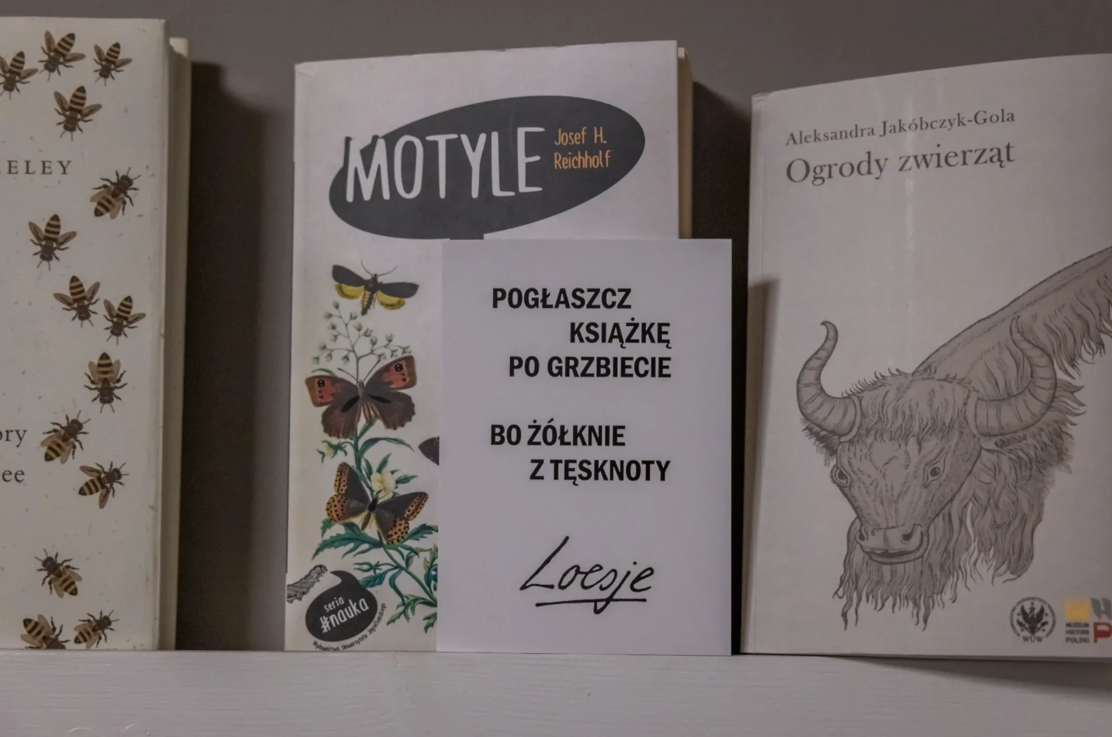 Podsumowanie spotkań Loesje w Jazdowie