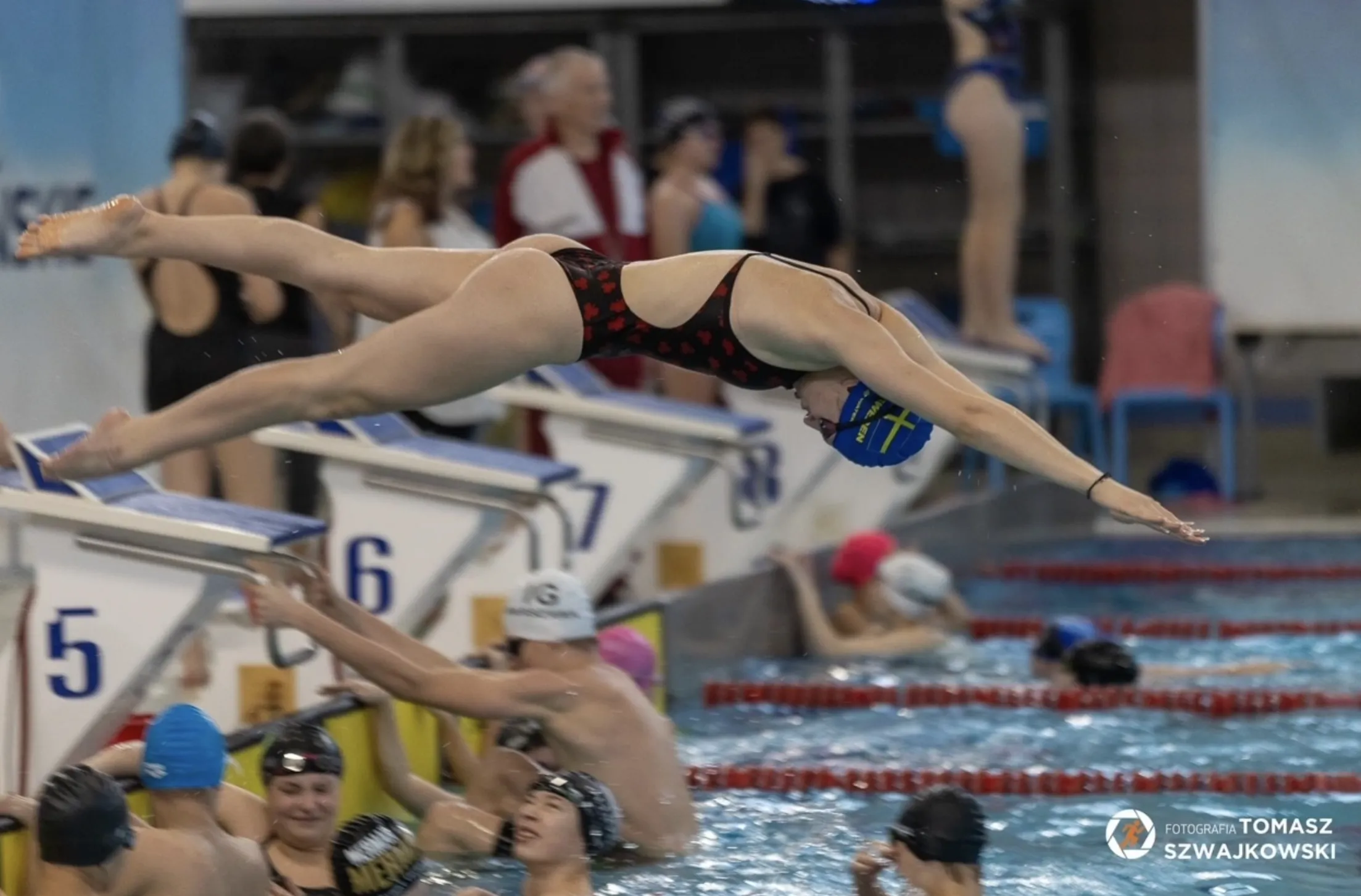 Międzynarodowy Mityng Pływacki w Poznaniu