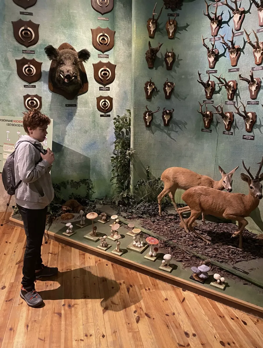 Nauka –  nie tylko w szkole…