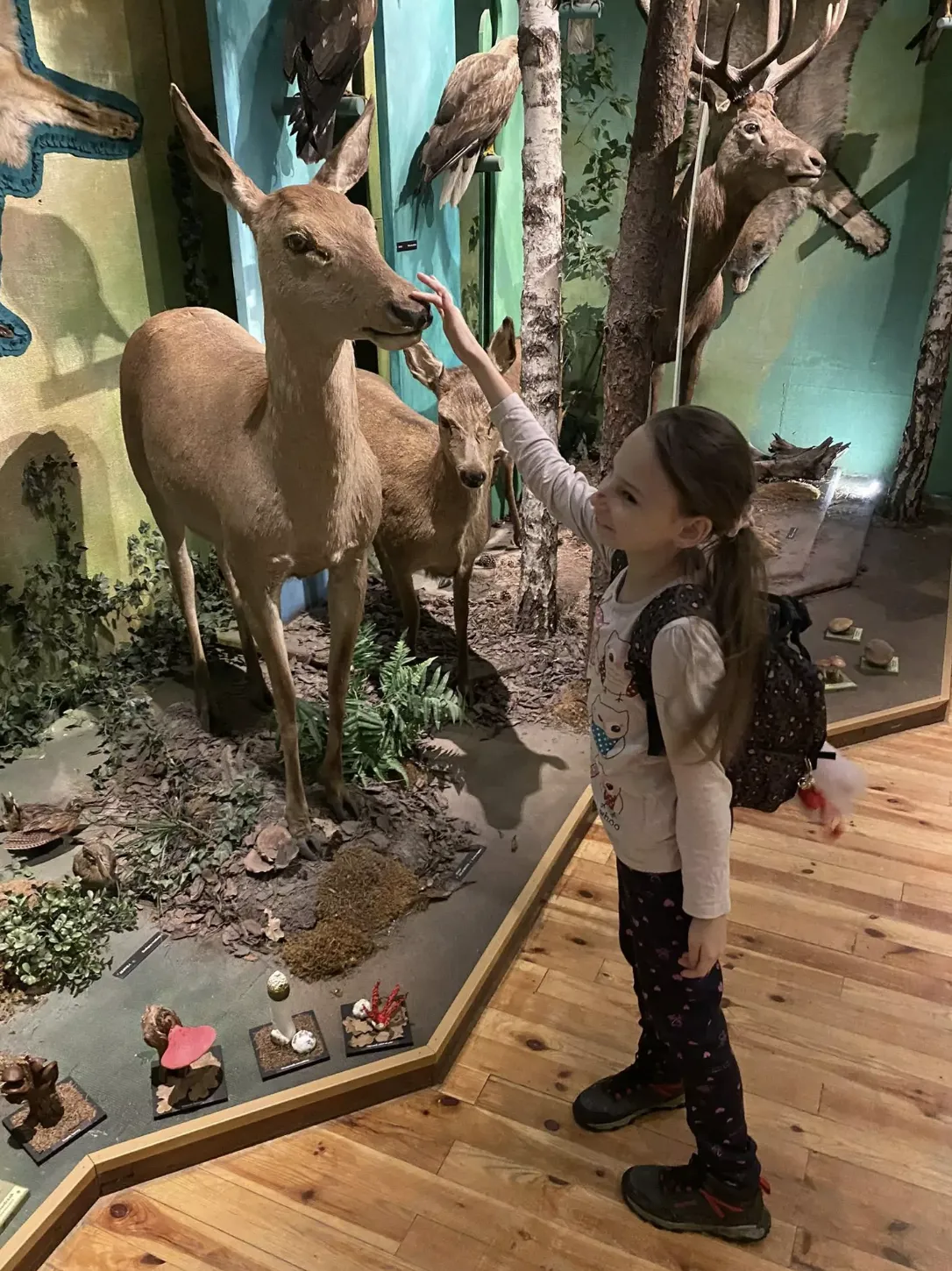 Nauka –  nie tylko w szkole…