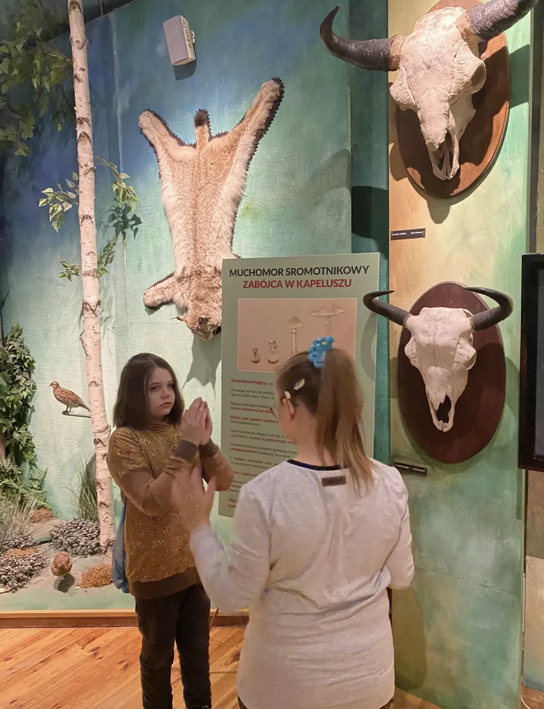 Nauka –  nie tylko w szkole…