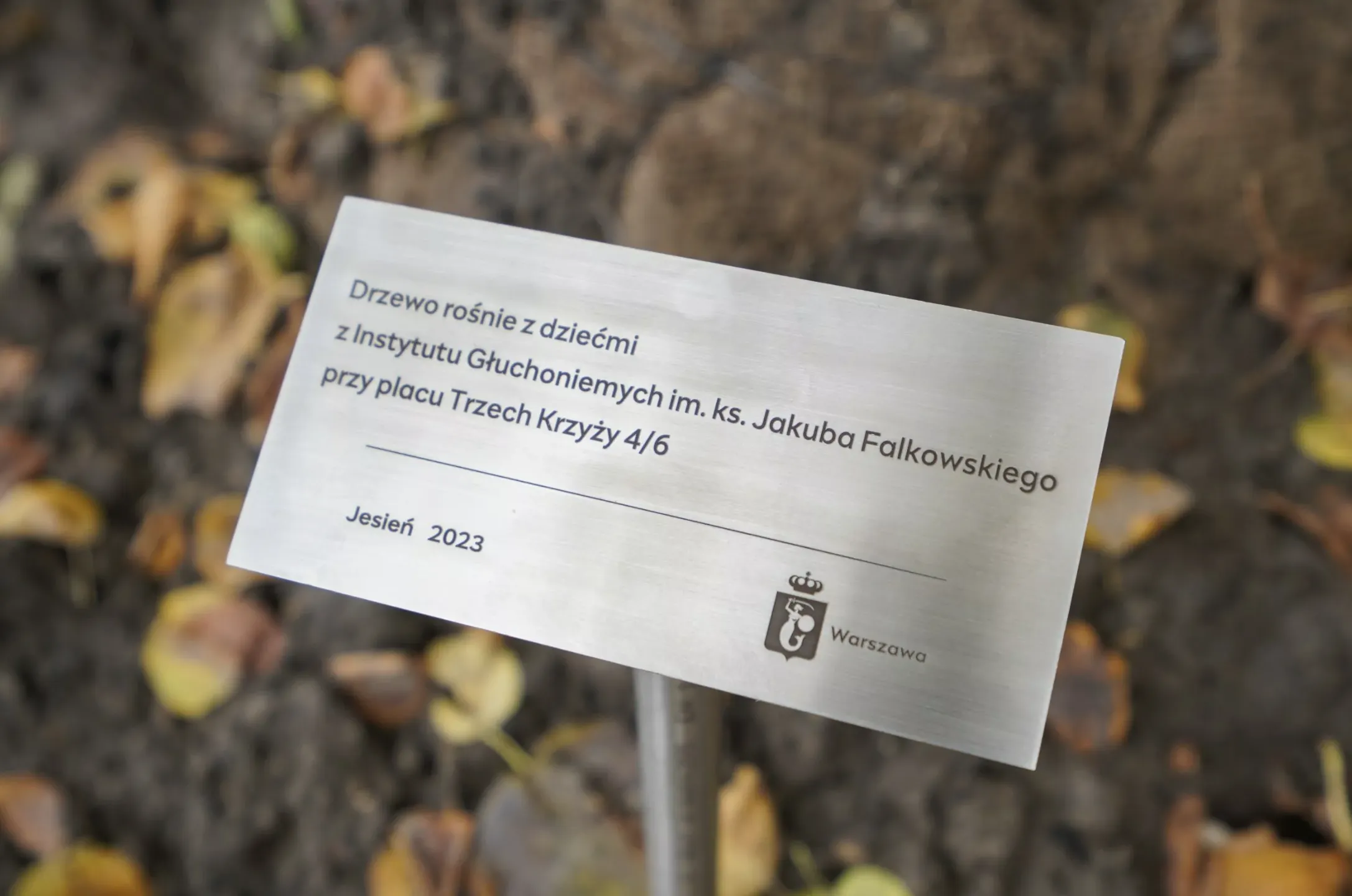 Zazieleniamy Warszawę z Prezydentem