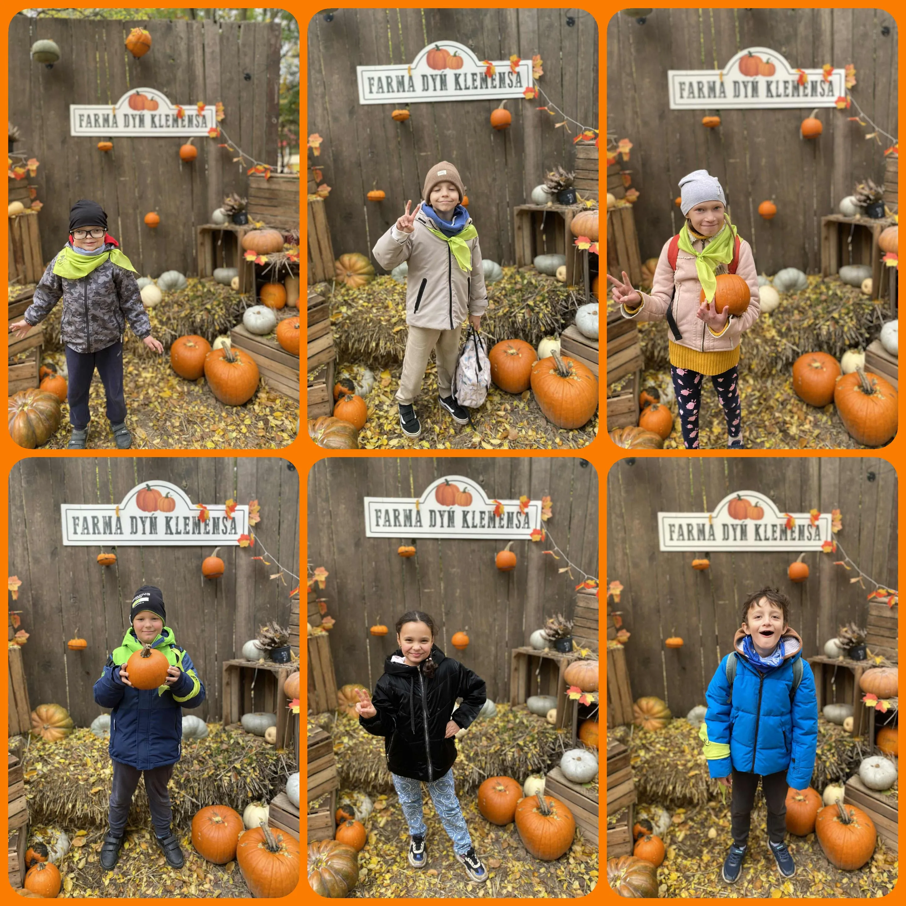 Farma dyń w  Sadach Klemensa 