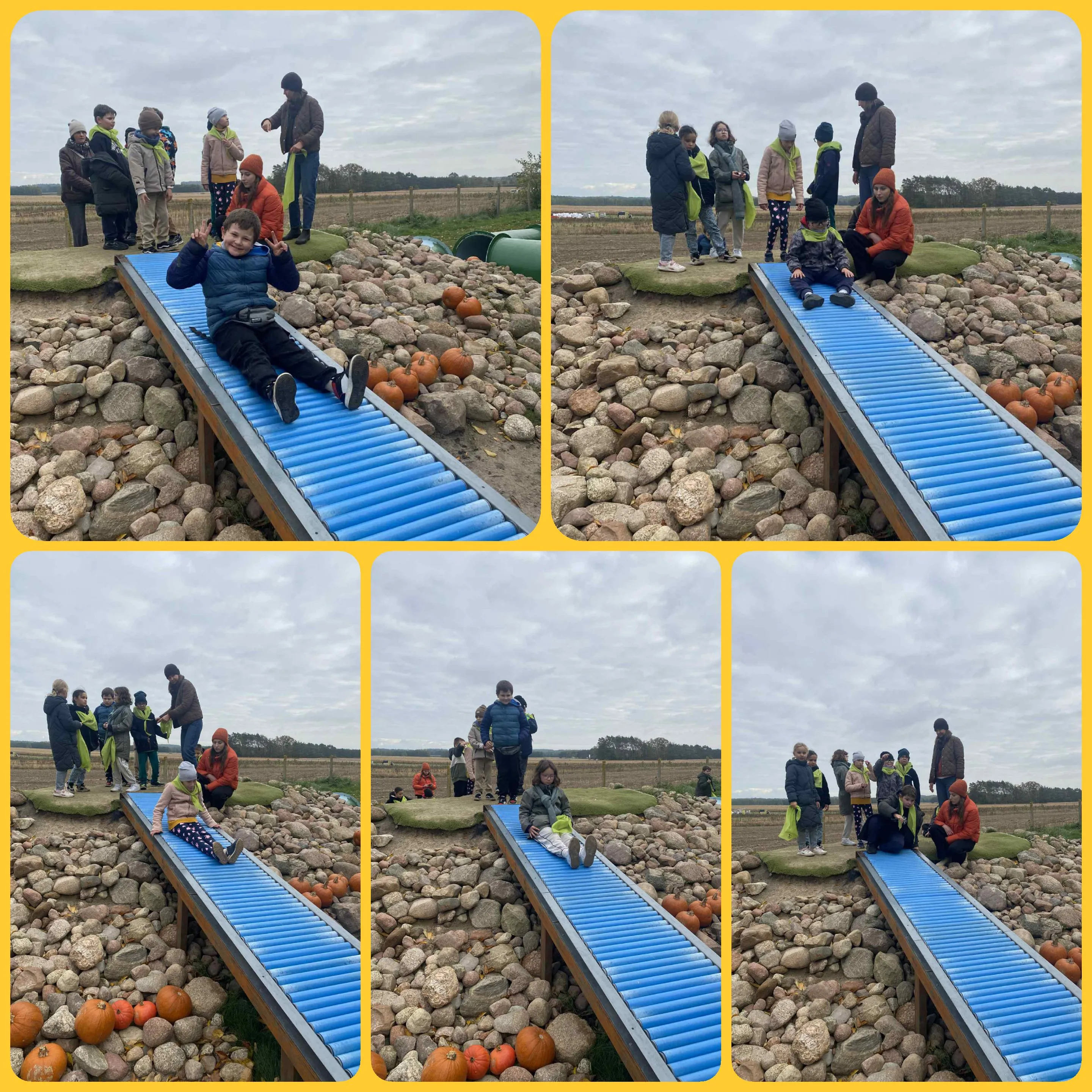 Farma dyń w  Sadach Klemensa 