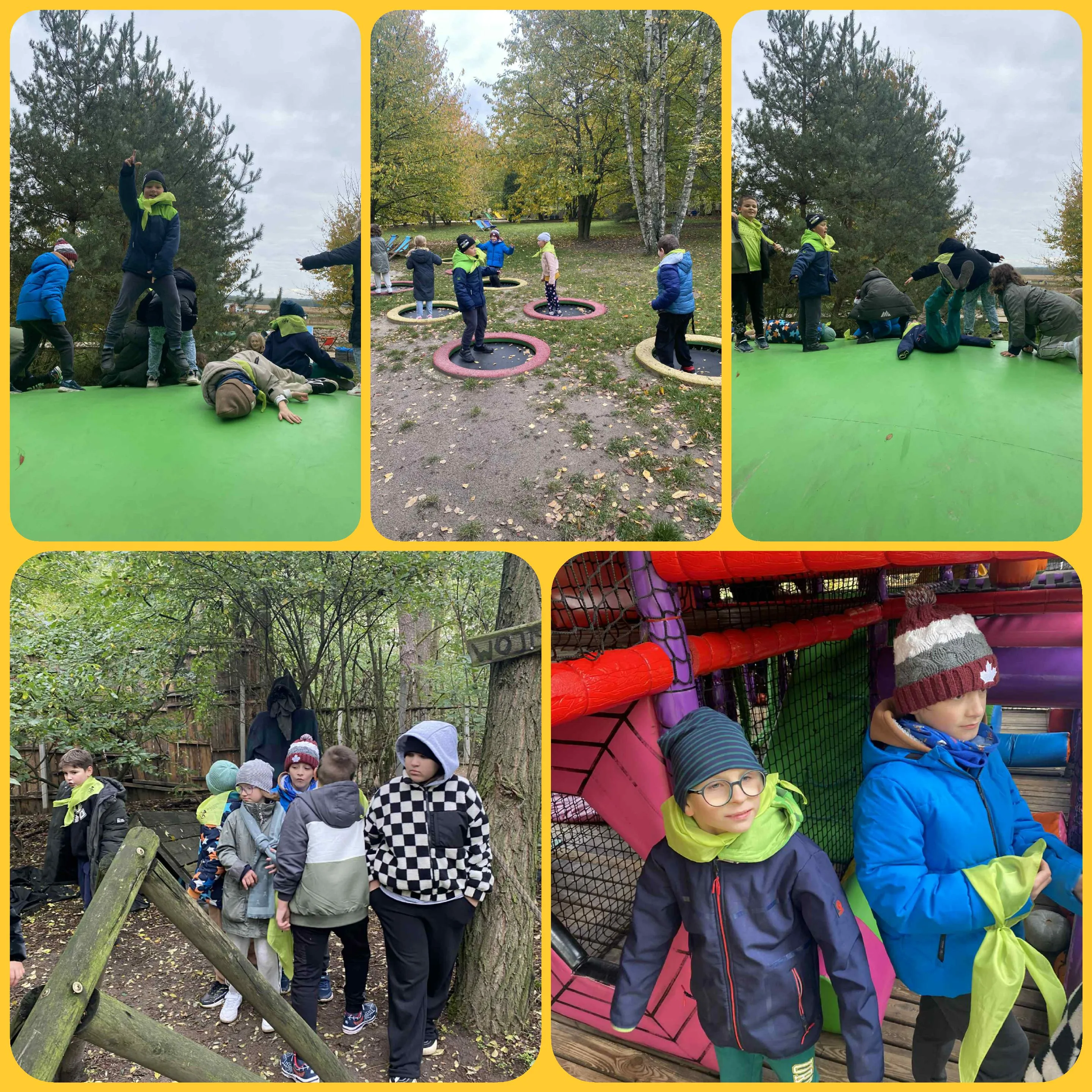 Farma dyń w  Sadach Klemensa 