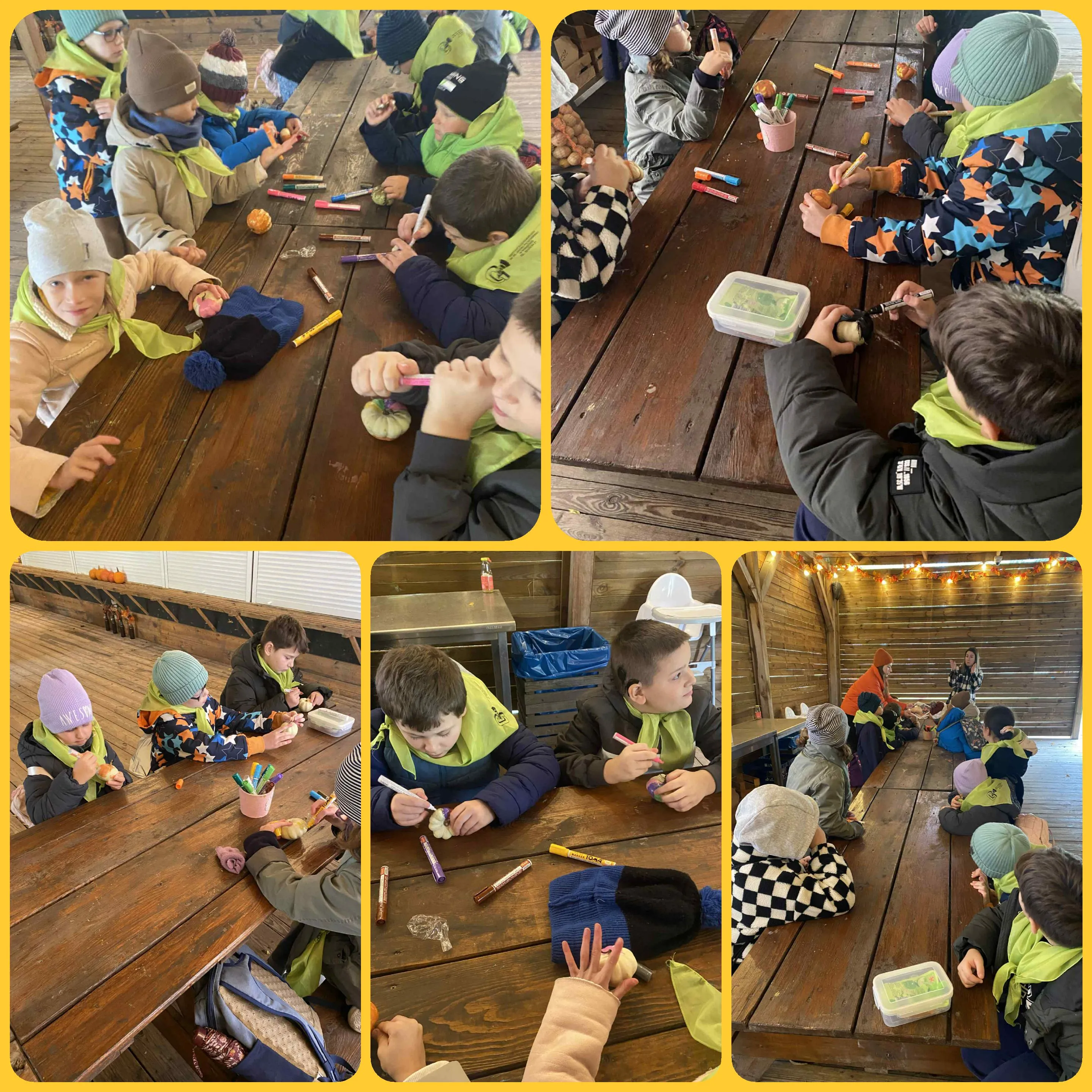 Farma dyń w  Sadach Klemensa 