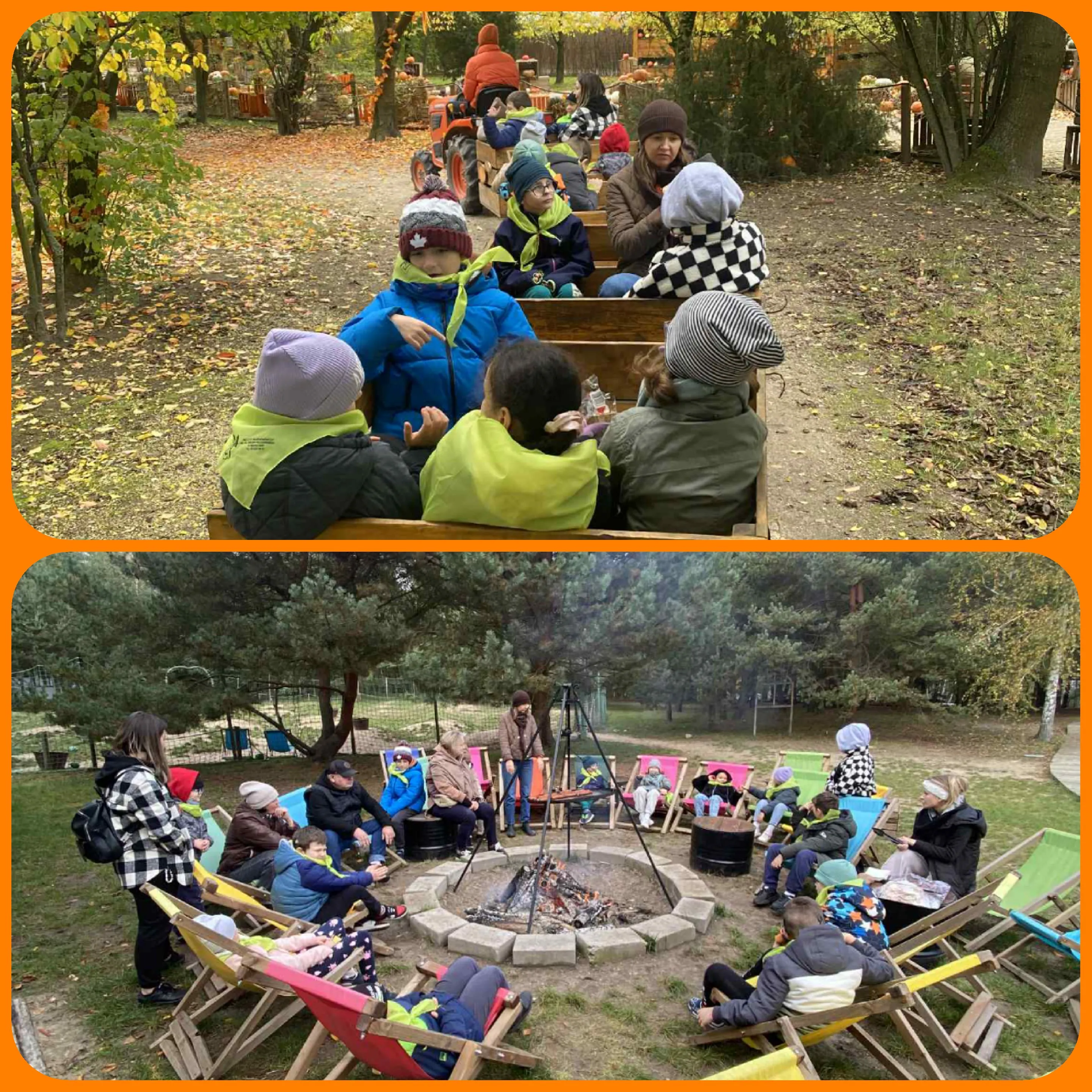 Farma dyń w  Sadach Klemensa 