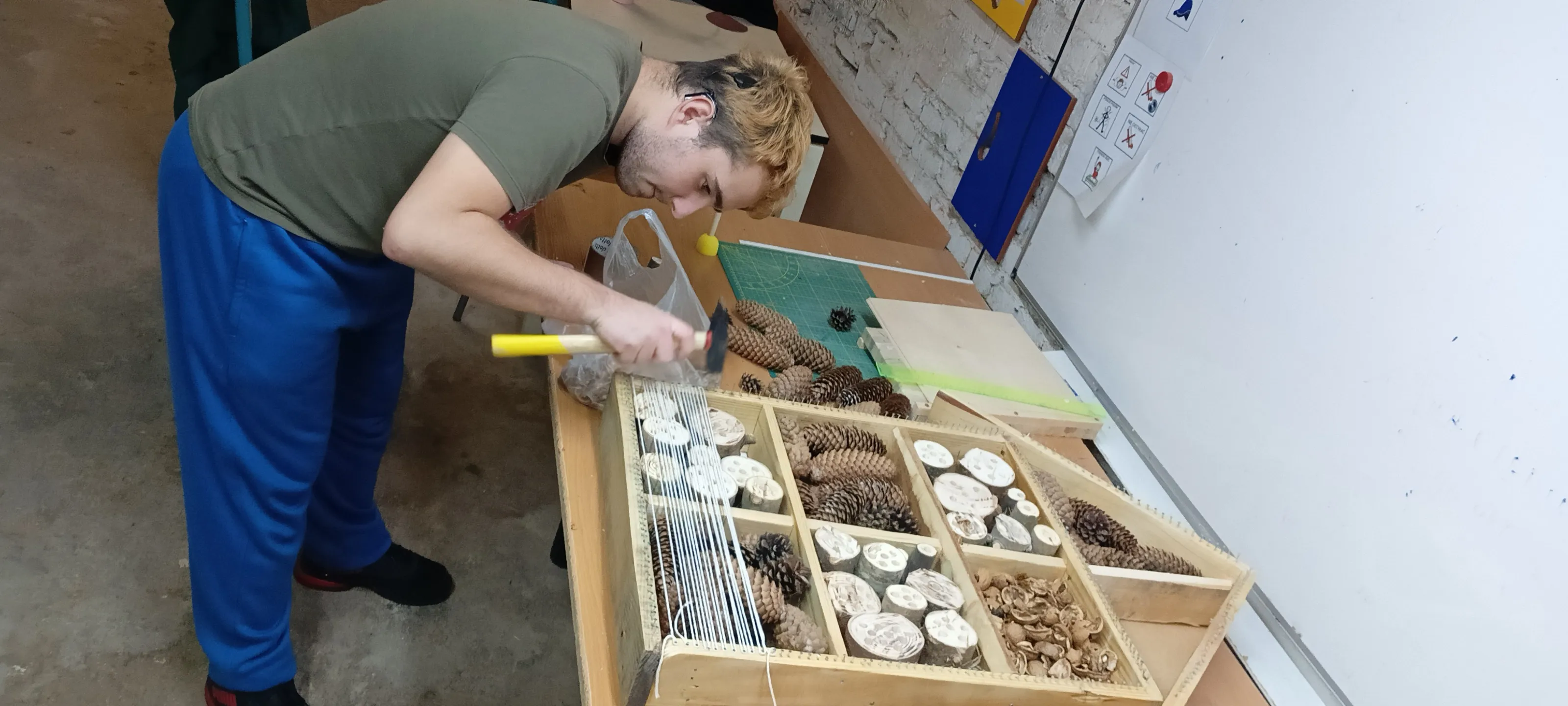 Majsterkowanie - dom dla owadów