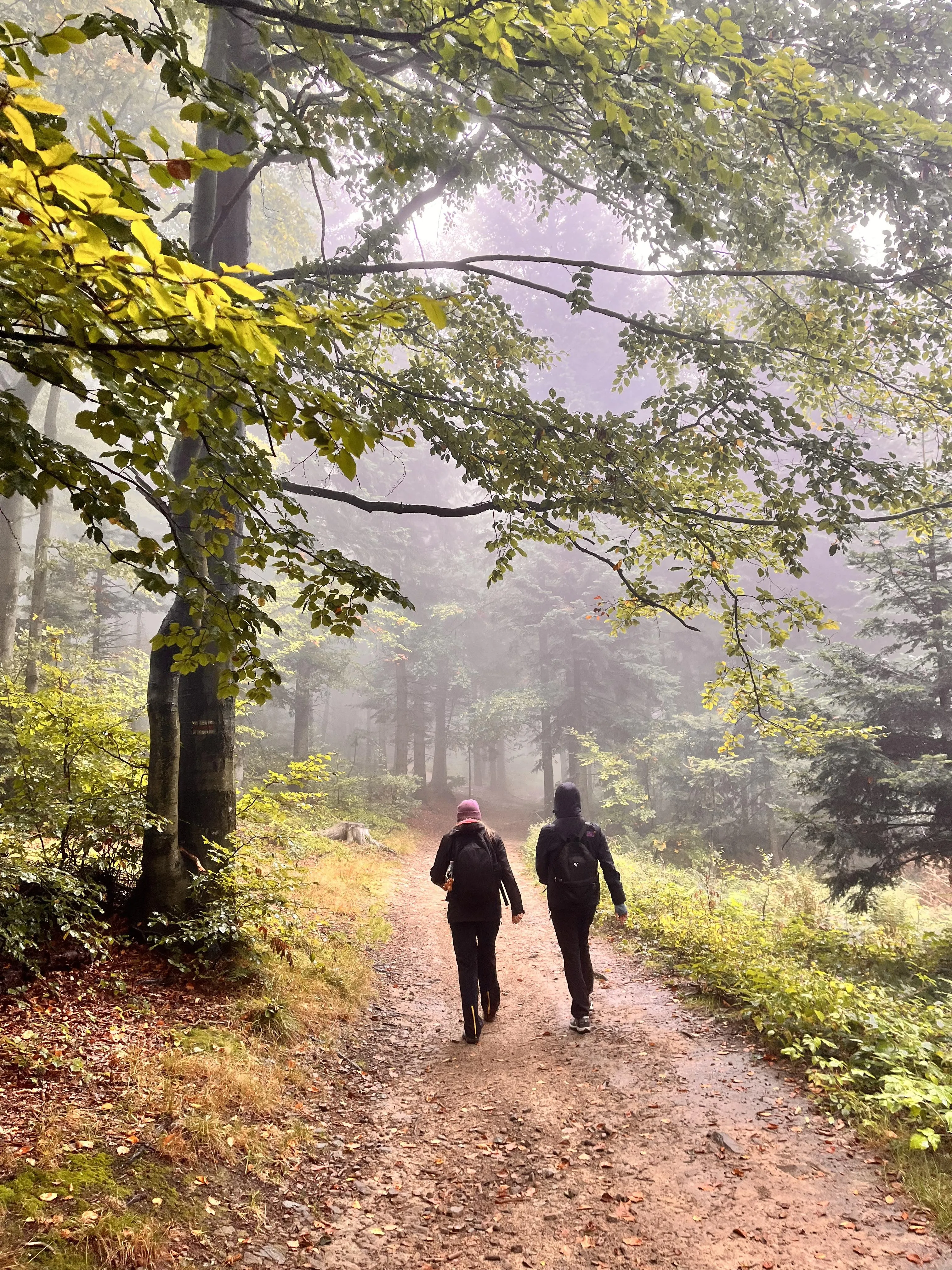 projekt „Edukacja na wysokościach - Zdobywamy Koronę Gór Polski”