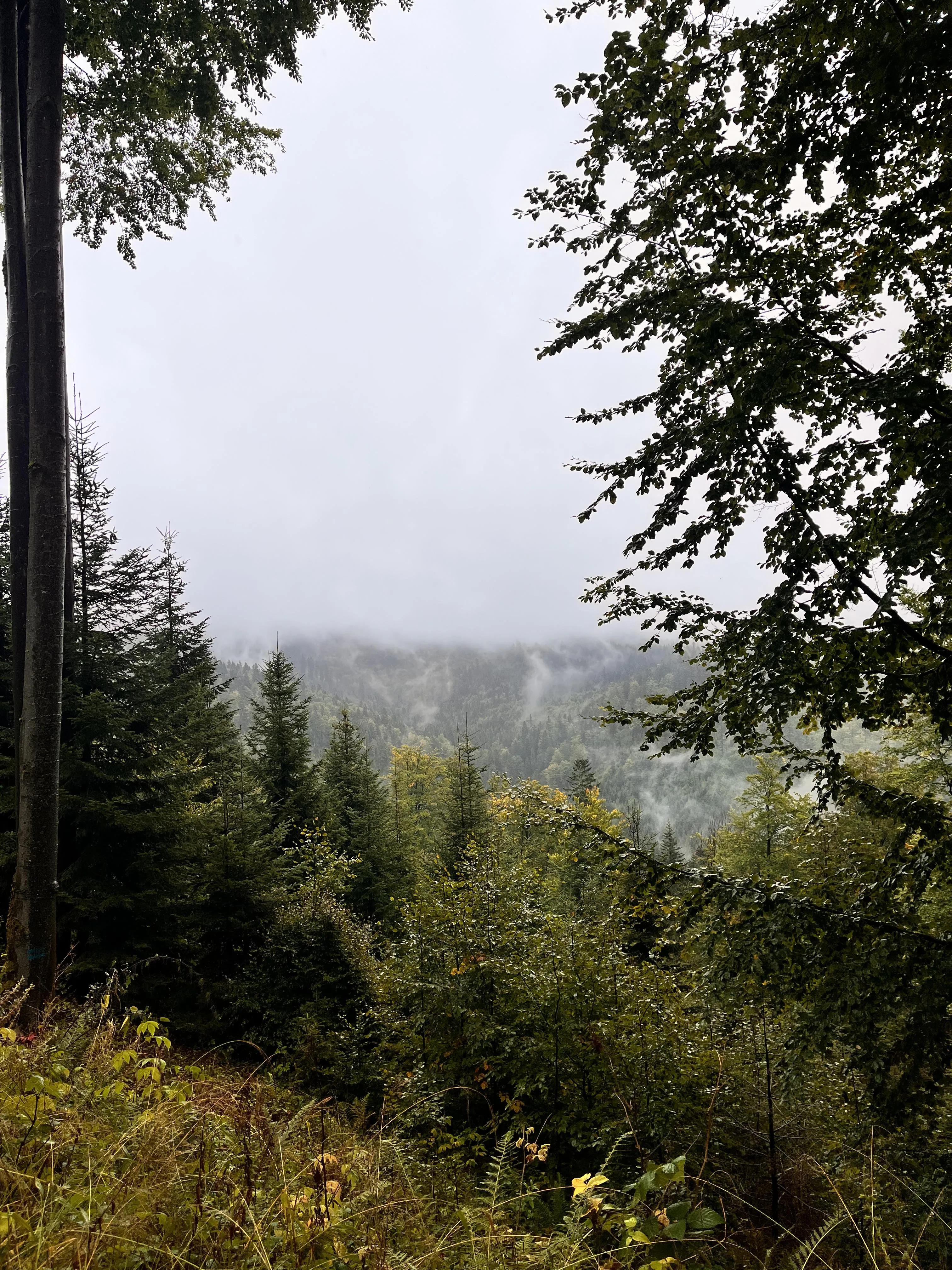 projekt „Edukacja na wysokościach - Zdobywamy Koronę Gór Polski”