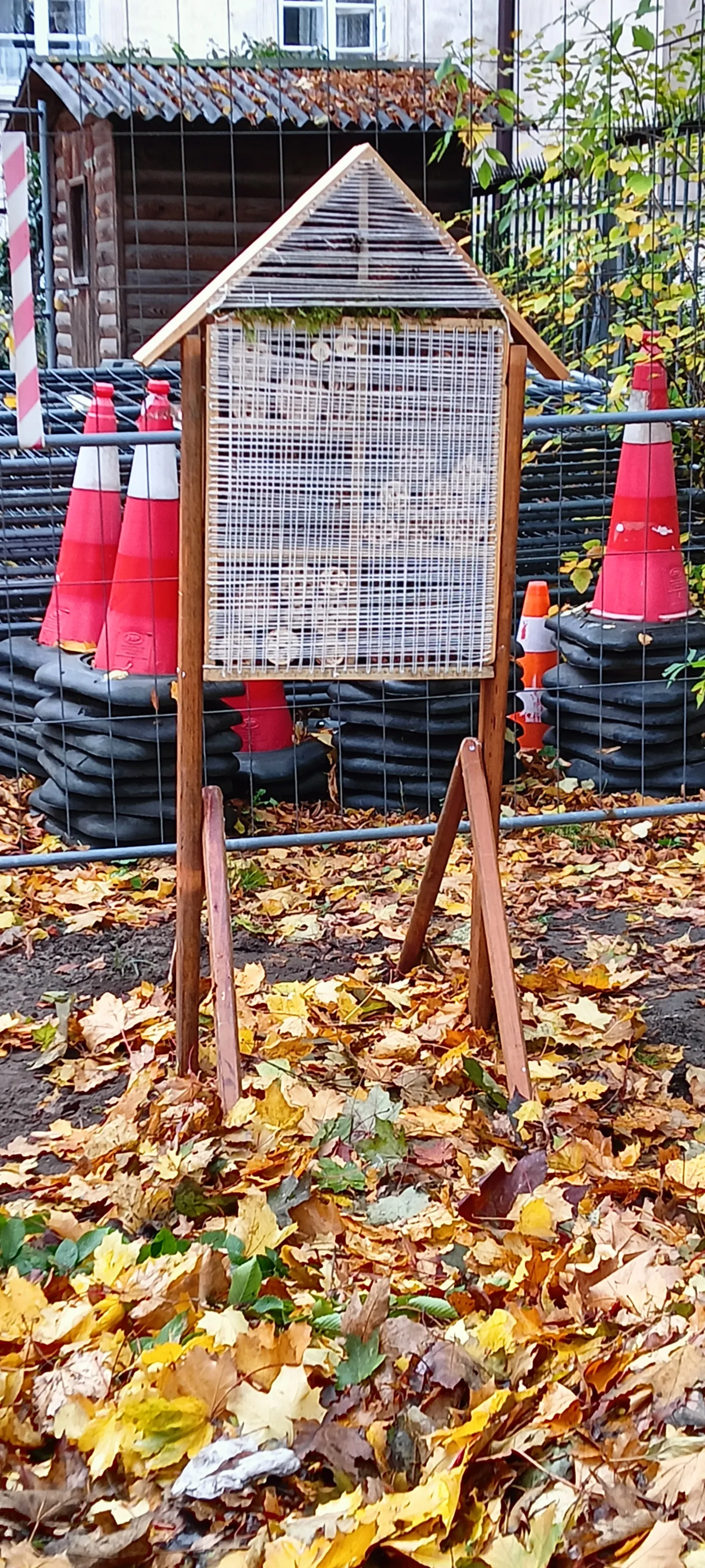 Majsterkowanie - dom dla owadów