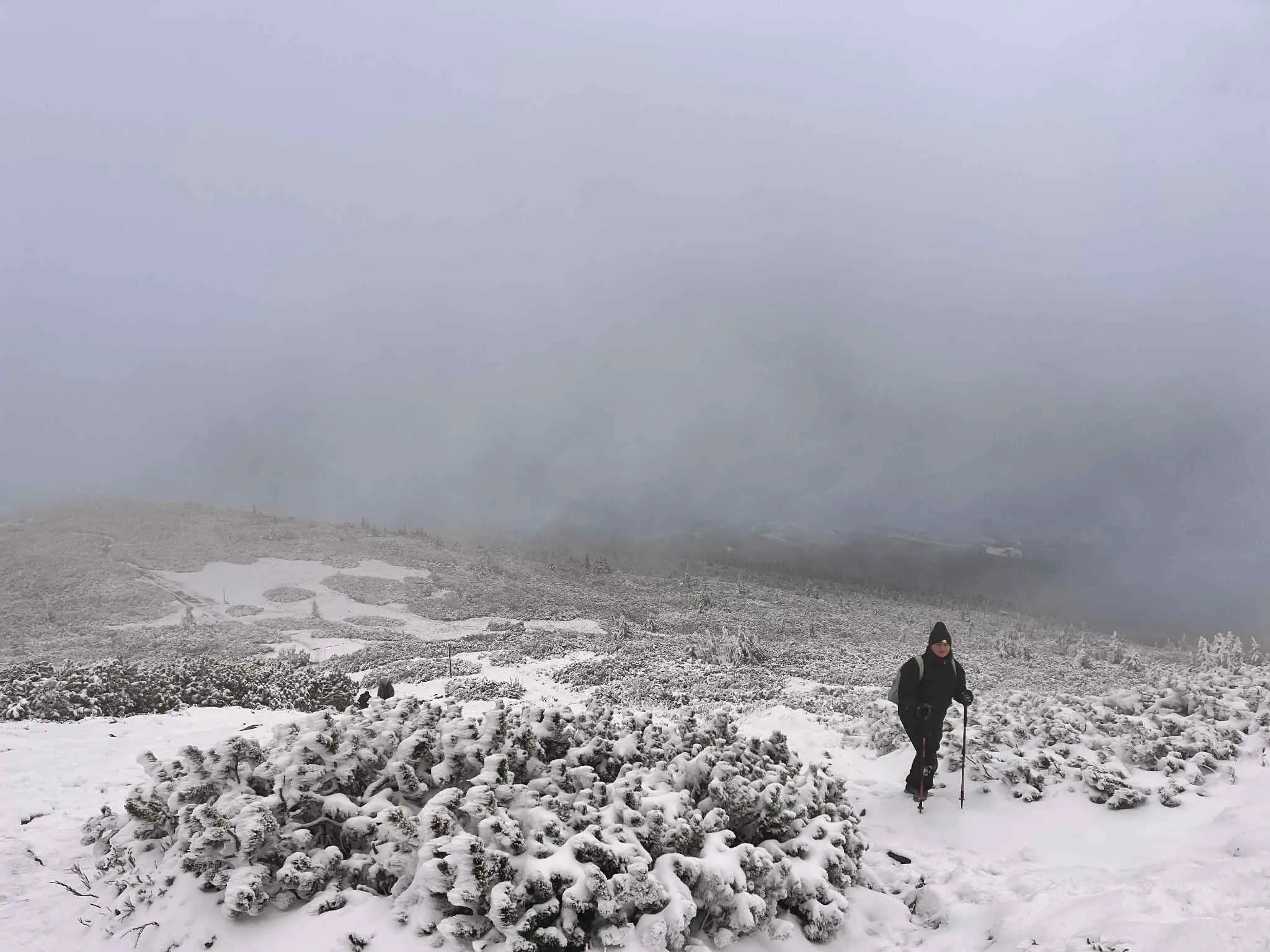 Projekt „Edukacja na wysokościach - Zdobywamy Koronę Gór Polski”
