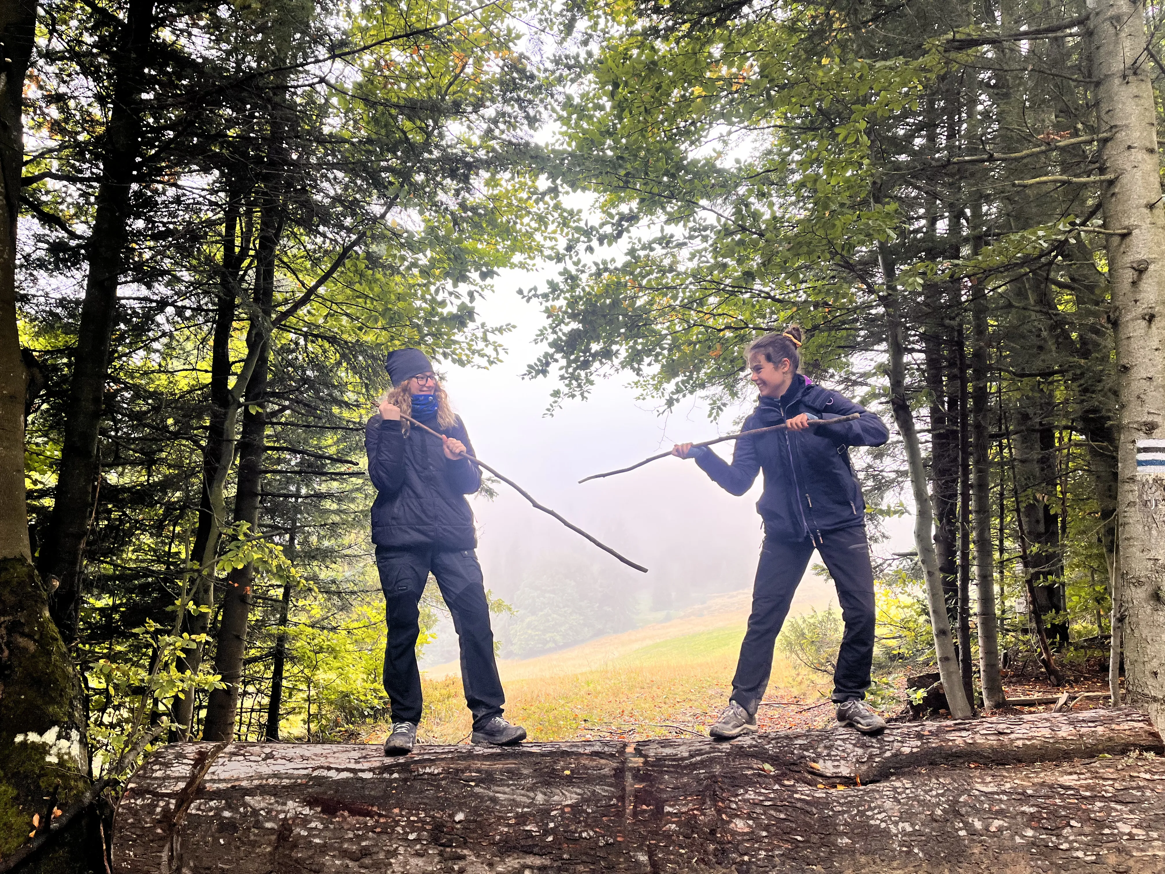 projekt „Edukacja na wysokościach - Zdobywamy Koronę Gór Polski”