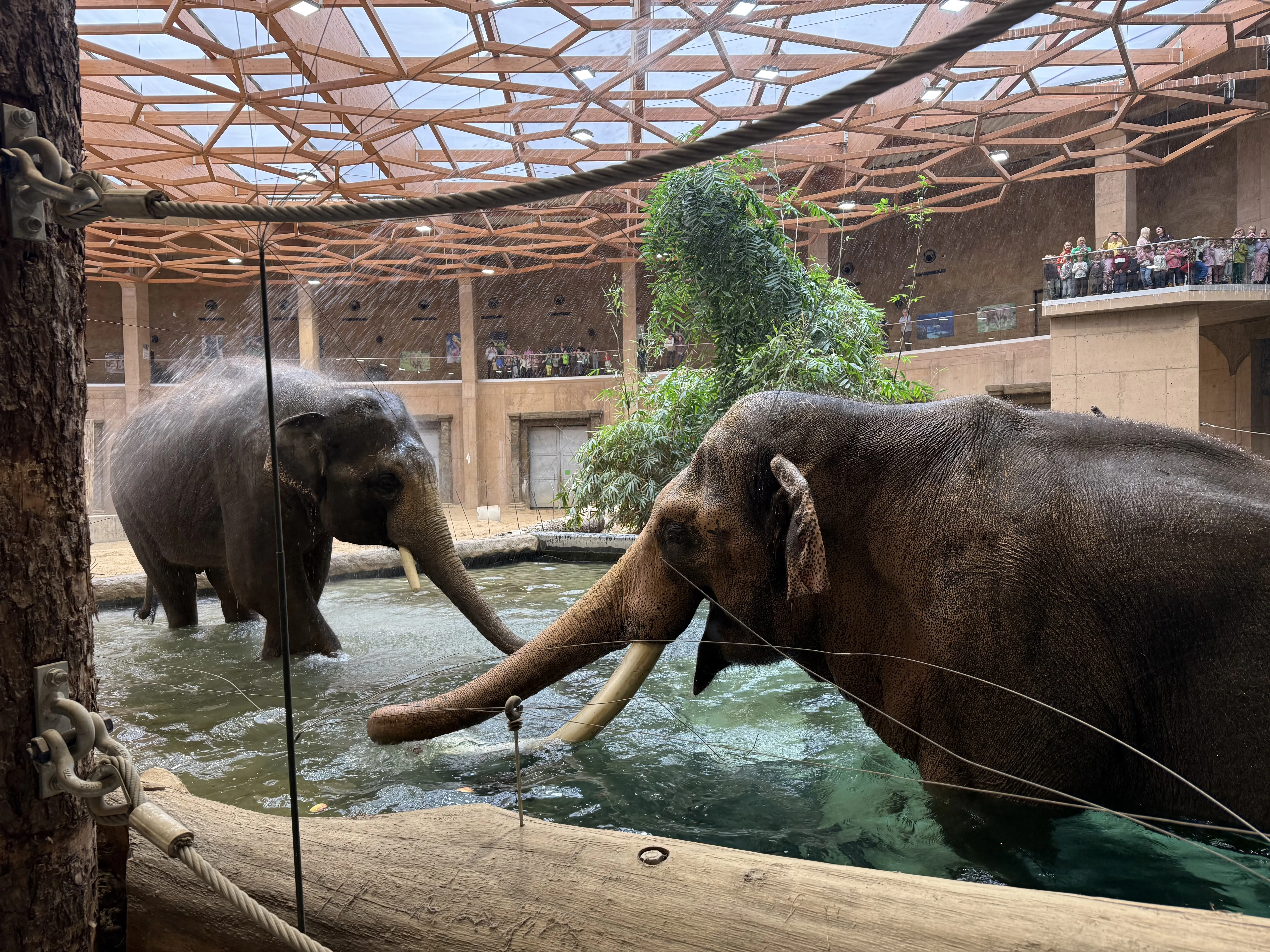 Wycieczka do łódzkiego Orientarium