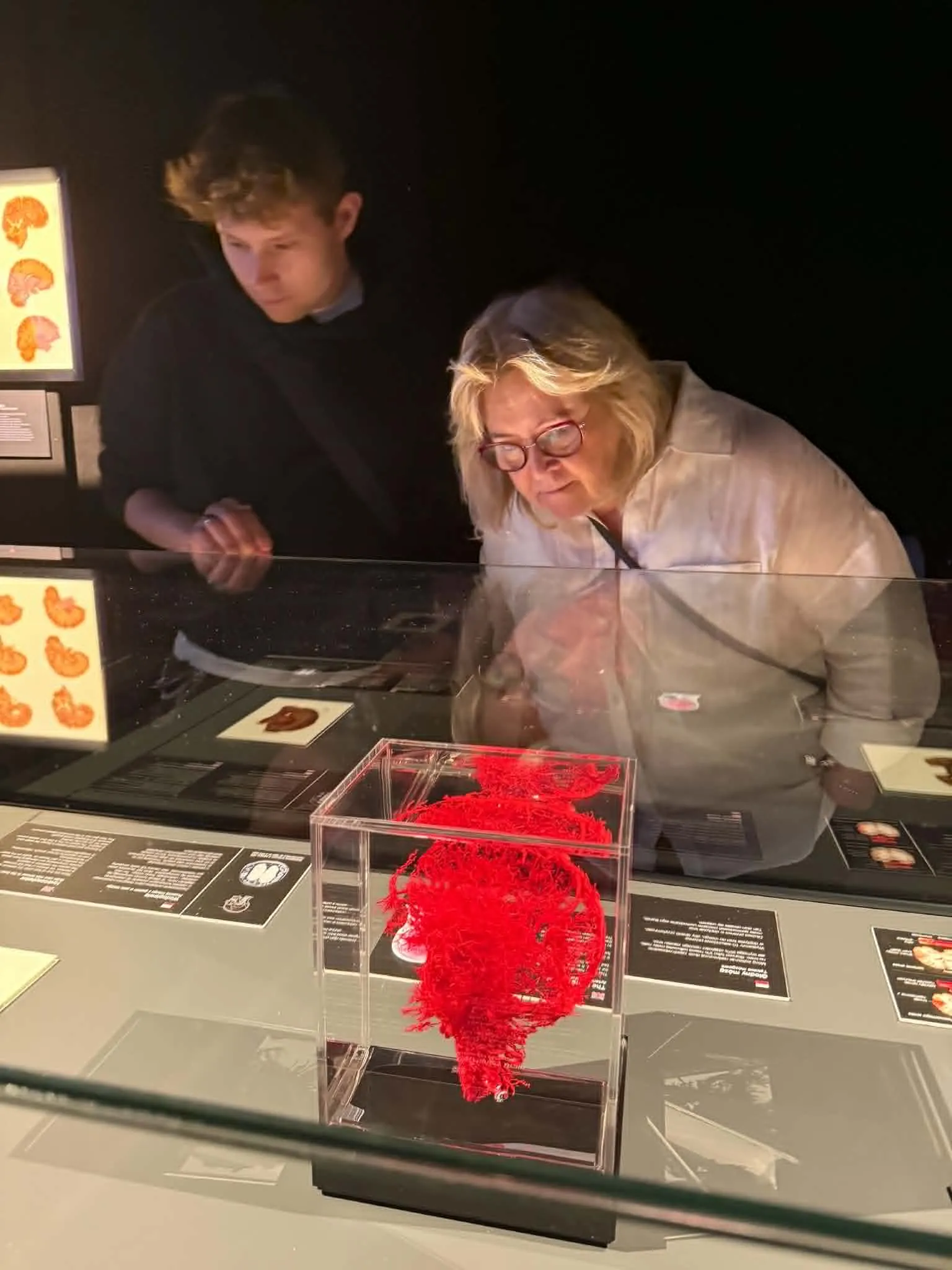 Na wystawie Body Worlds