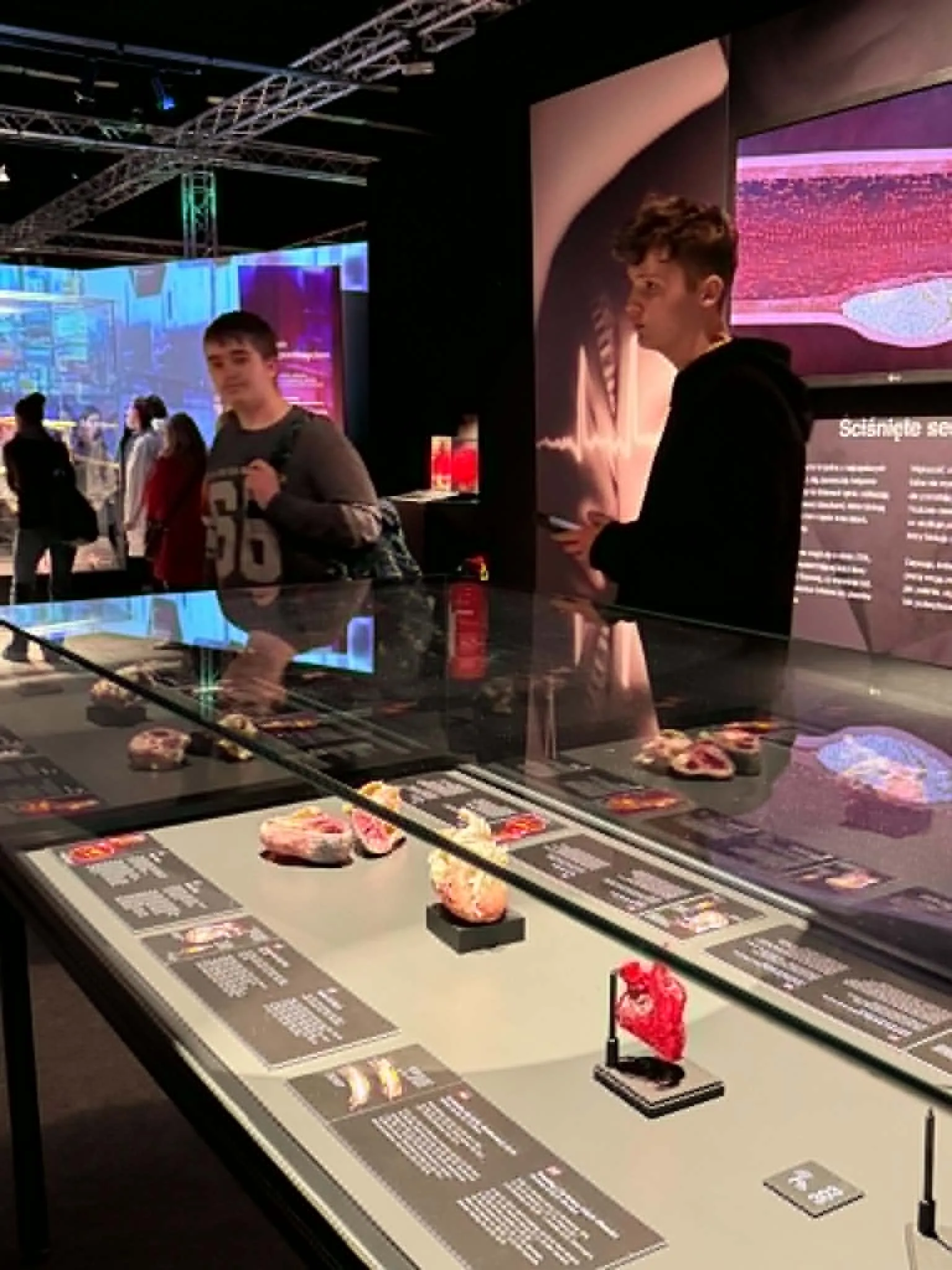 Na wystawie Body Worlds