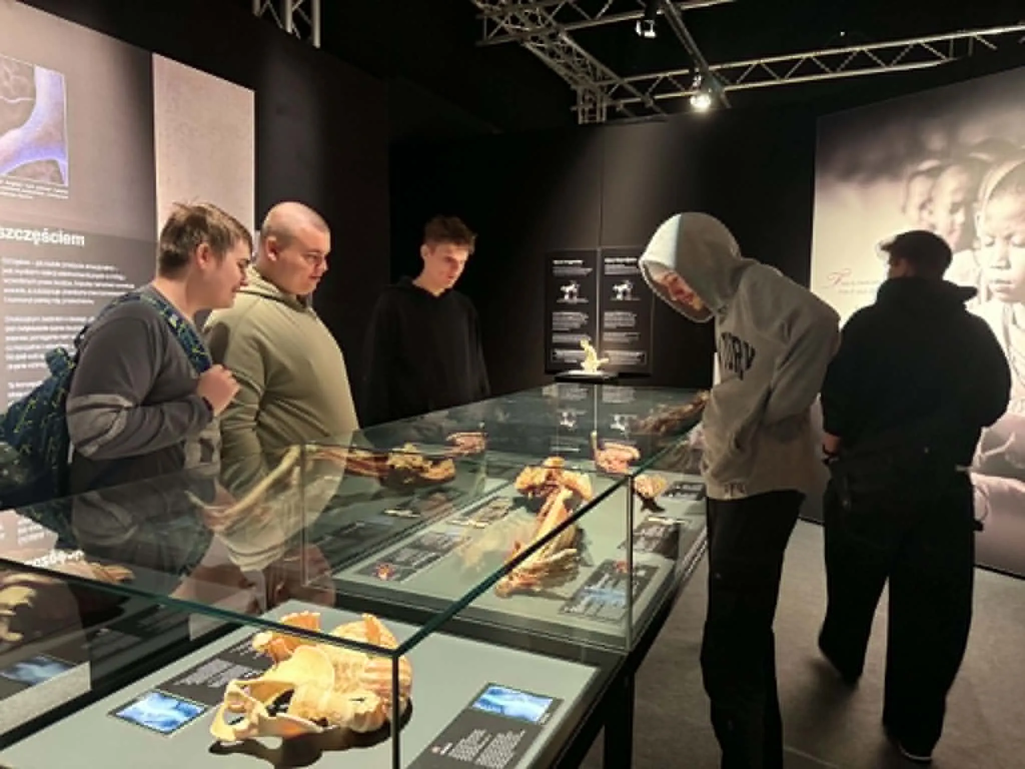 Na wystawie Body Worlds