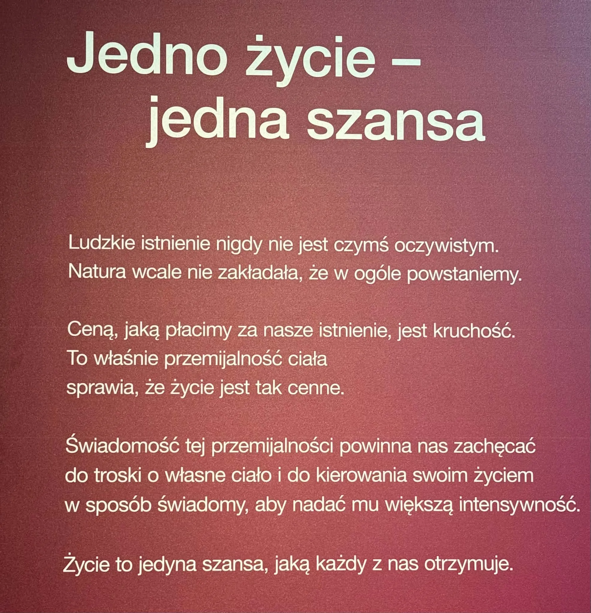 Na wystawie Body Worlds