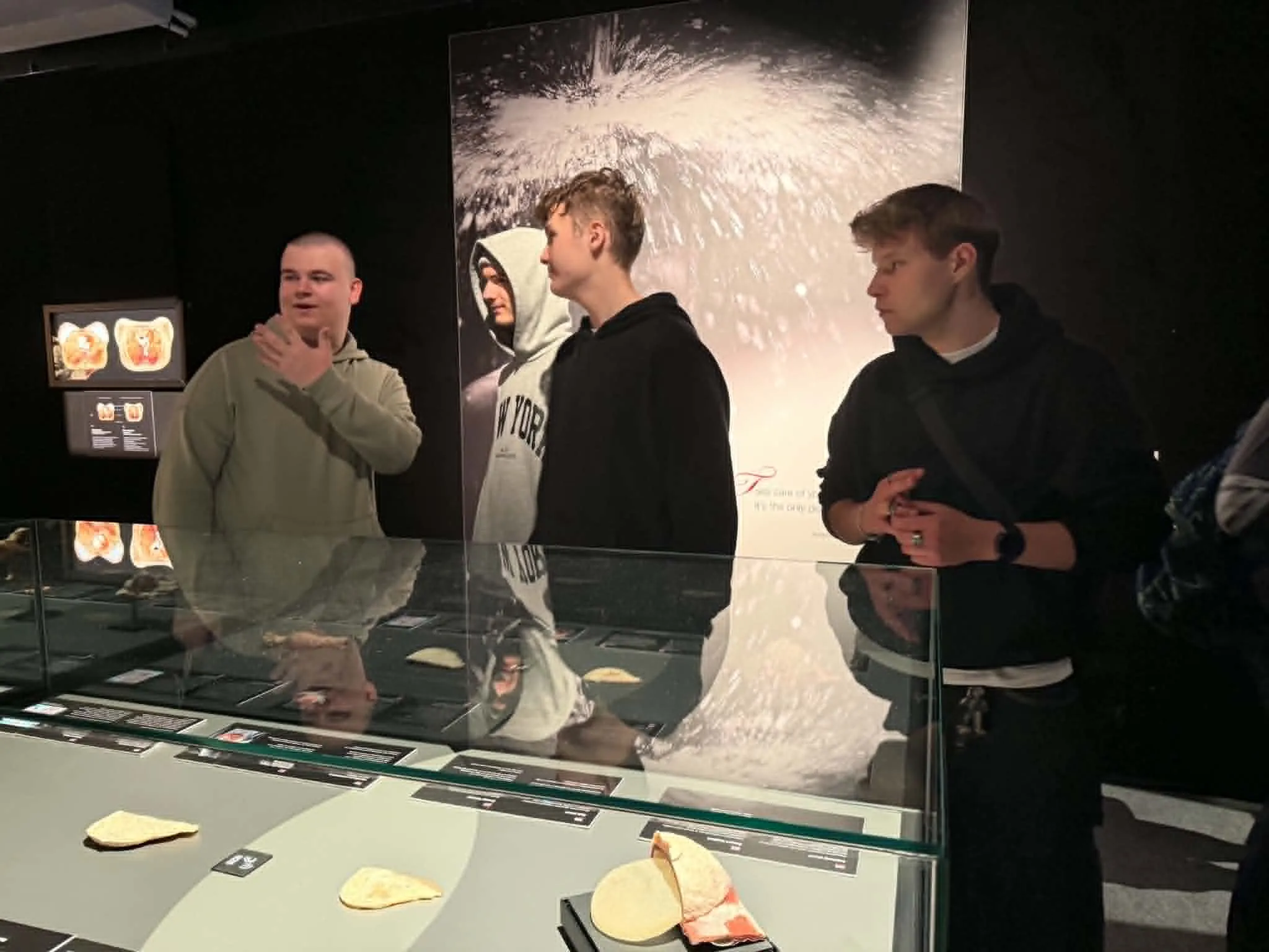 Na wystawie Body Worlds