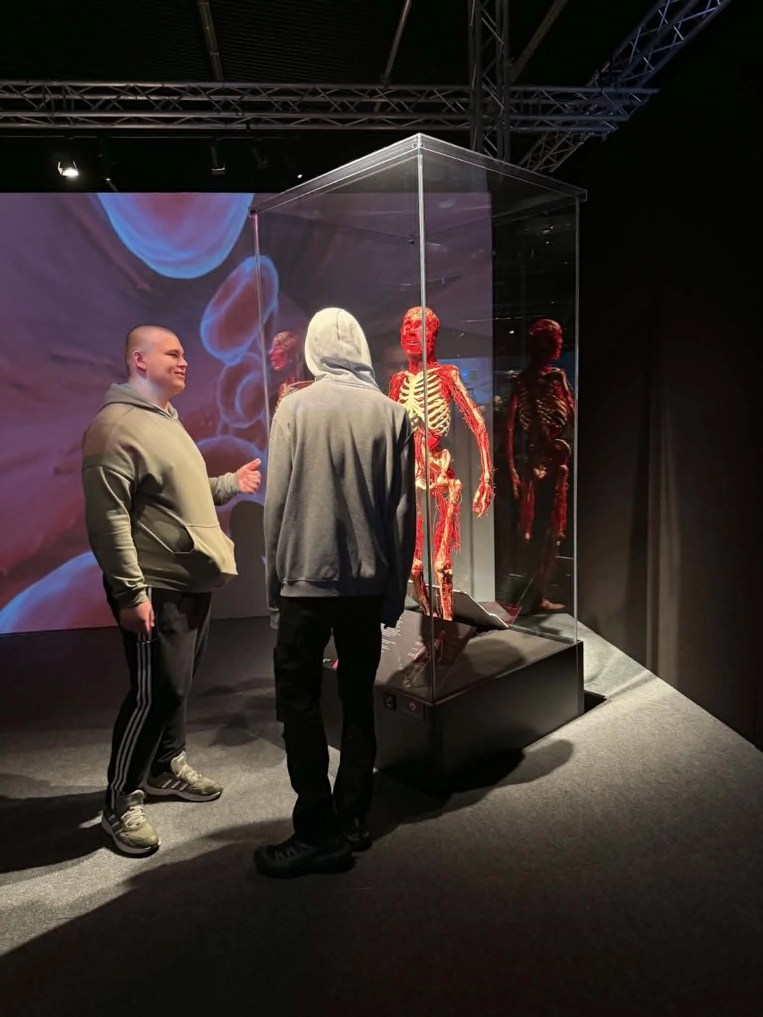 Na wystawie Body Worlds