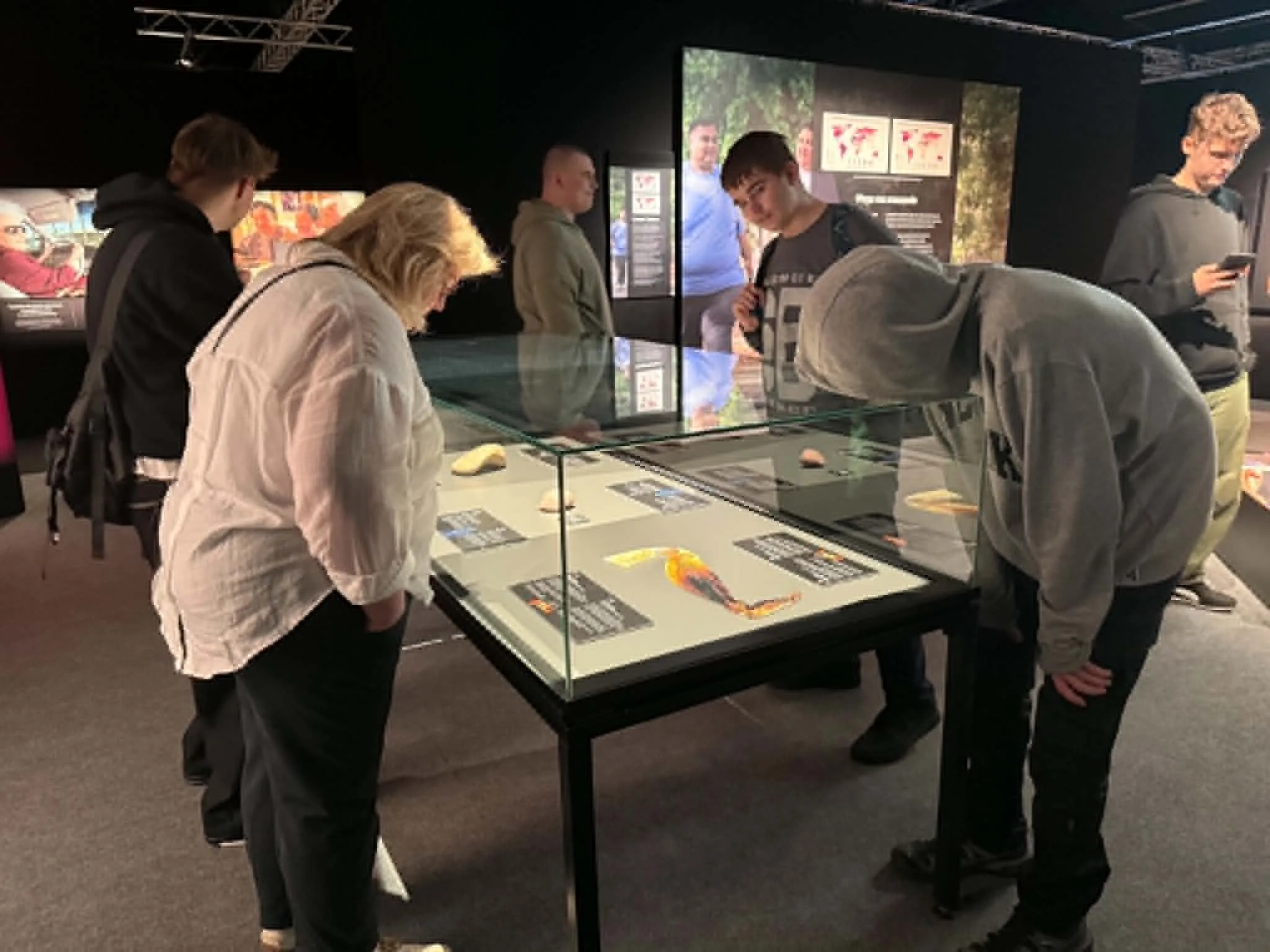Na wystawie Body Worlds