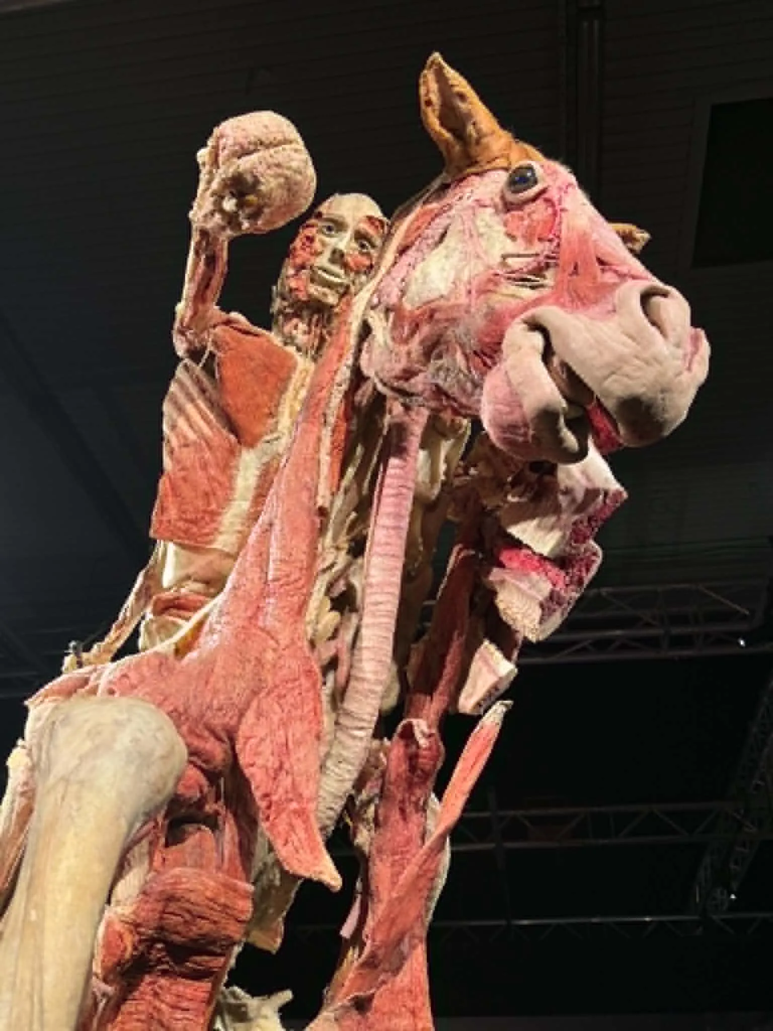 Na wystawie Body Worlds