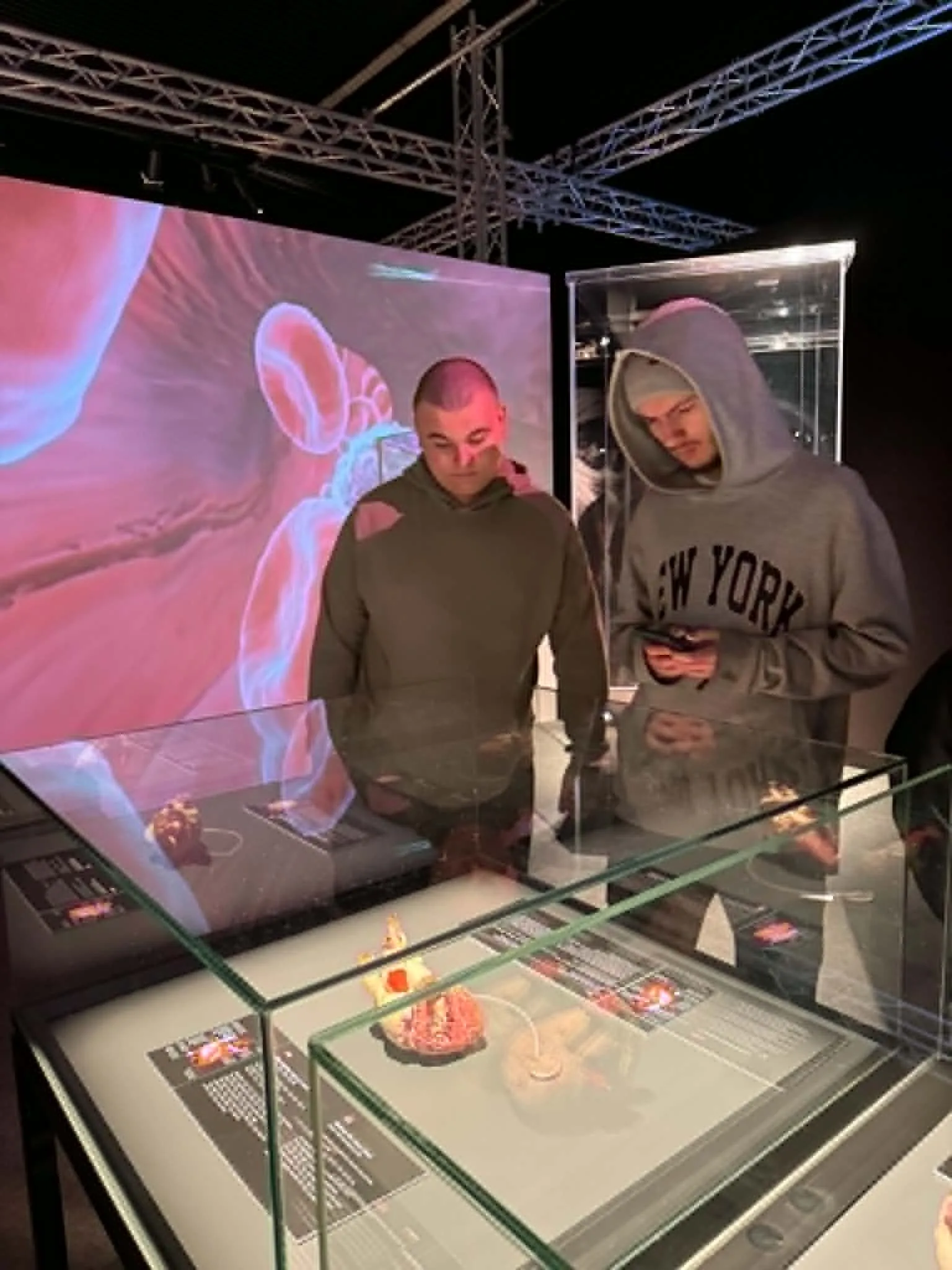 Na wystawie Body Worlds