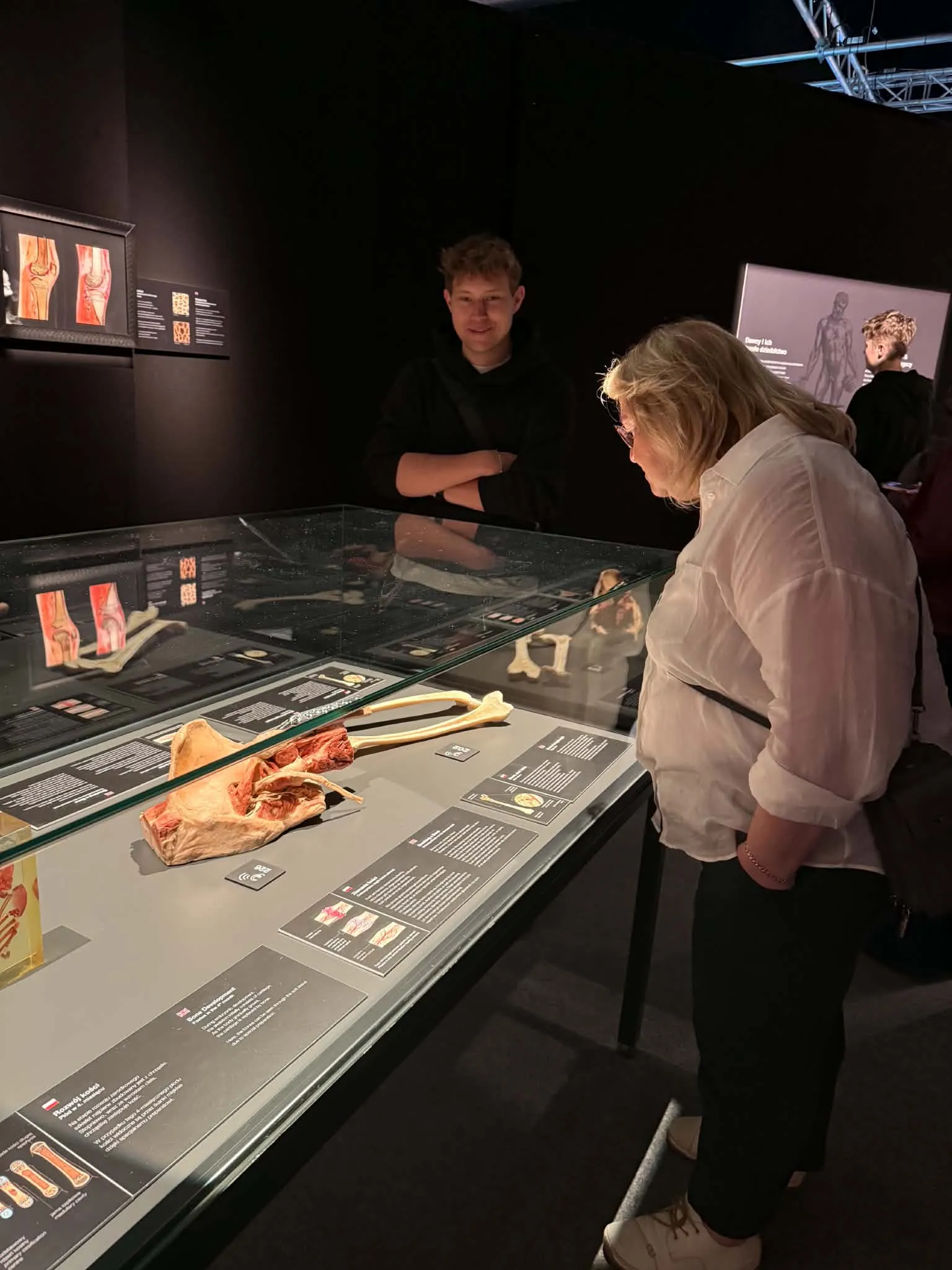 Na wystawie Body Worlds