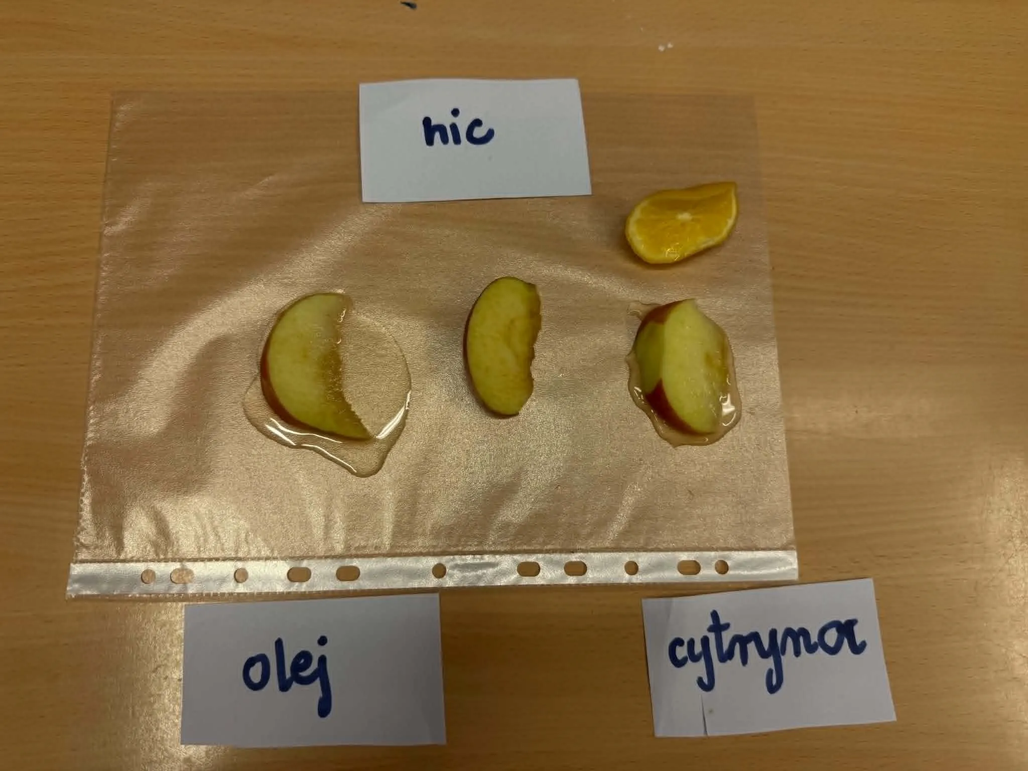 Ciekawe doświadczenia i odkrycia na zajęciach koła biologicznego