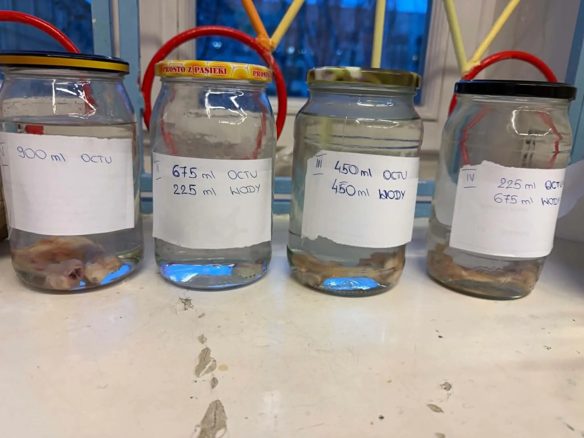 Ciekawe doświadczenia i odkrycia na zajęciach koła biologicznego